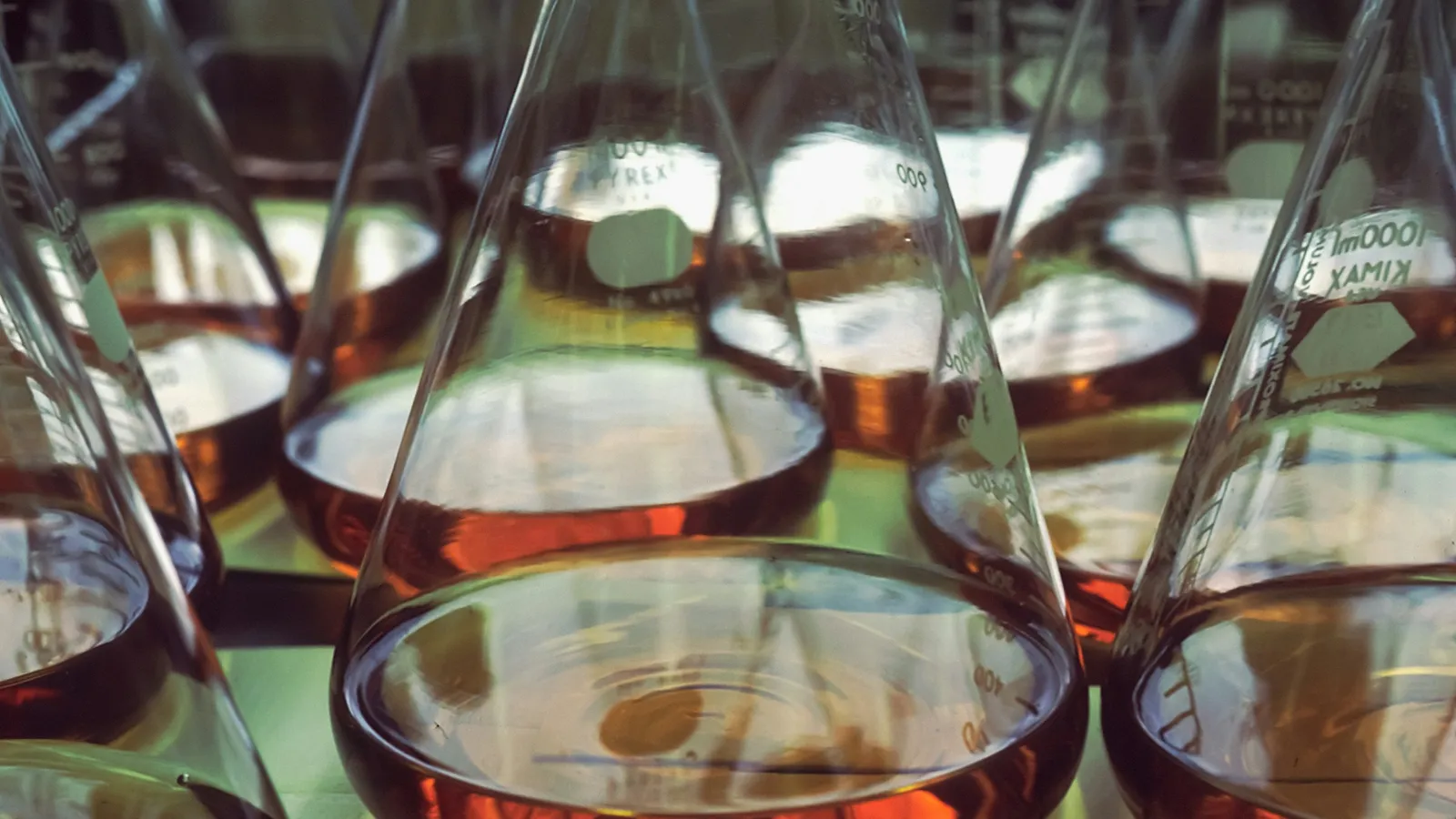 Flasks of amber liquid in a laboratory