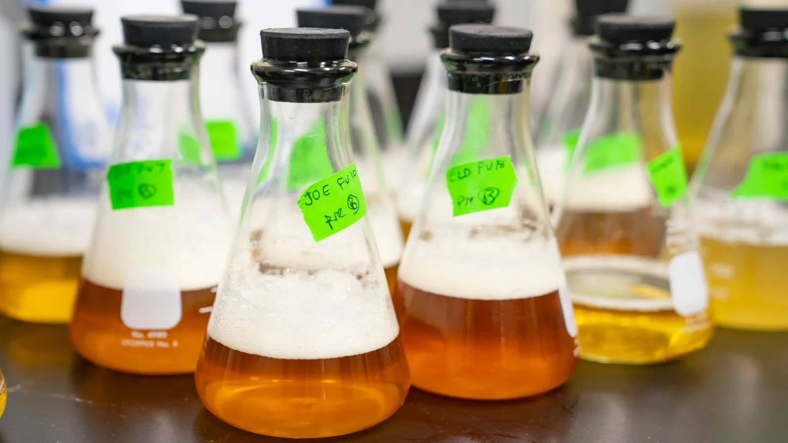Flasks of coloured liquids on a lab bench
