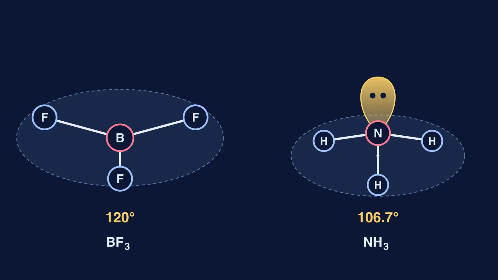 Flat BF3 beside pyramidal NH3 with its lone pair above nitrogen