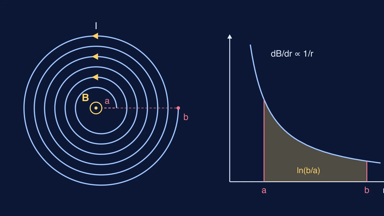 Flat spiral coil with field at its centre beside shaded 1/r graph