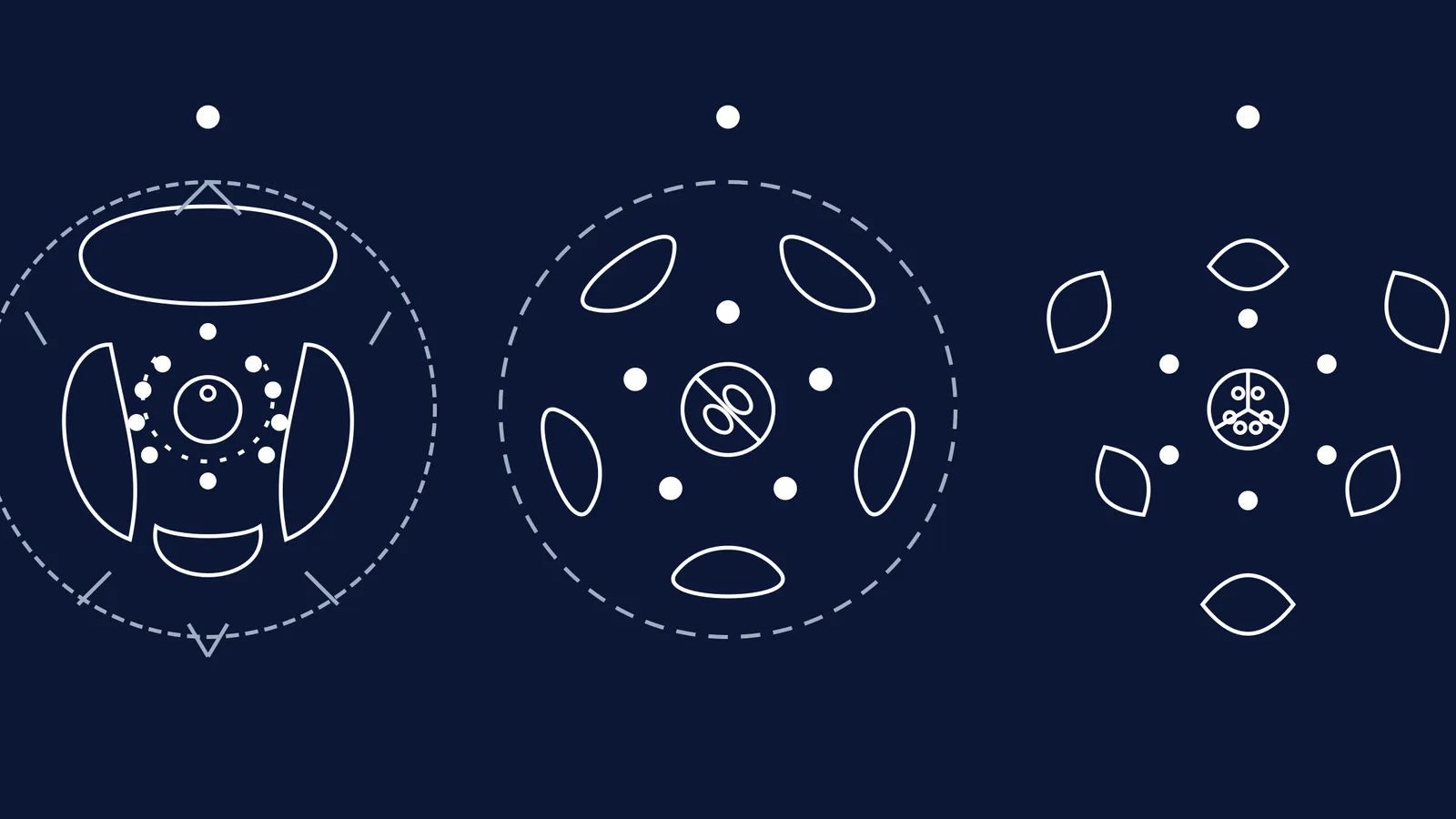 Floral diagrams of Fabaceae, Solanaceae and Liliaceae
