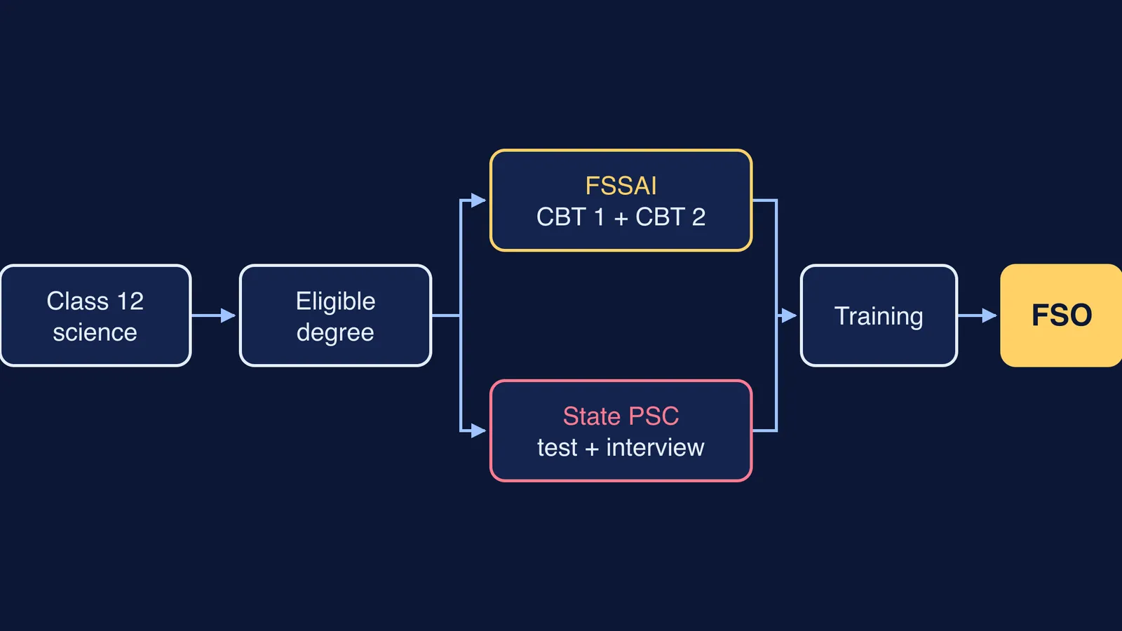 Flow diagram from Class 12 science through degree, exam routes and training to FSO