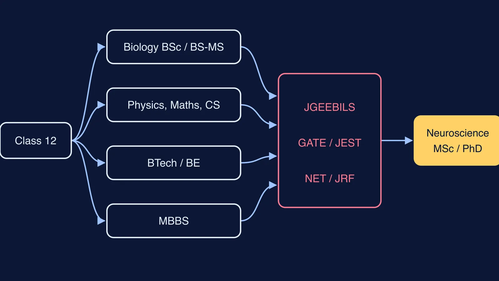 Flow diagram of degree routes from Class 12 to a neuroscience PhD