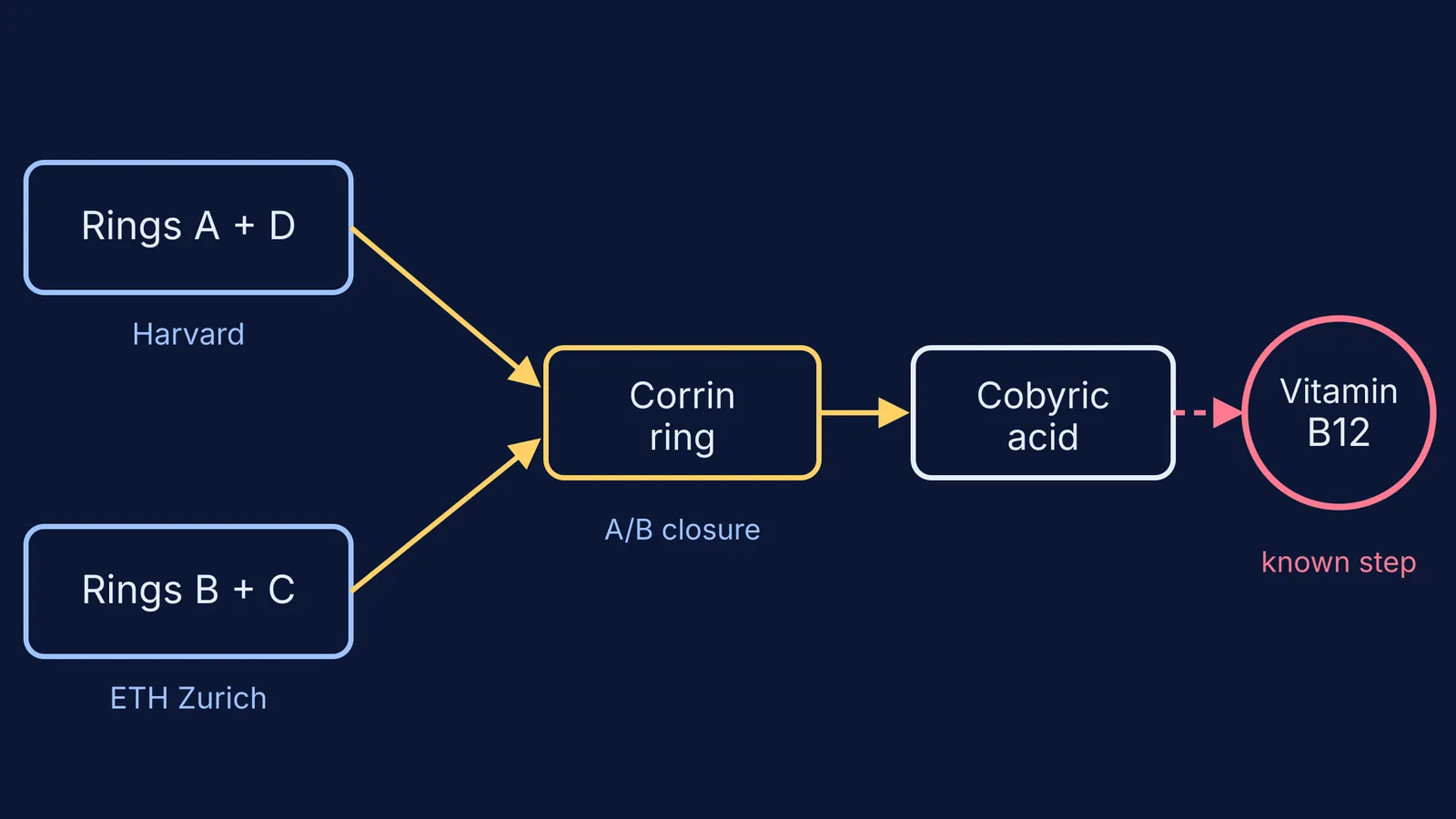 Flow diagram of the Harvard and ETH halves joining into vitamin B12
