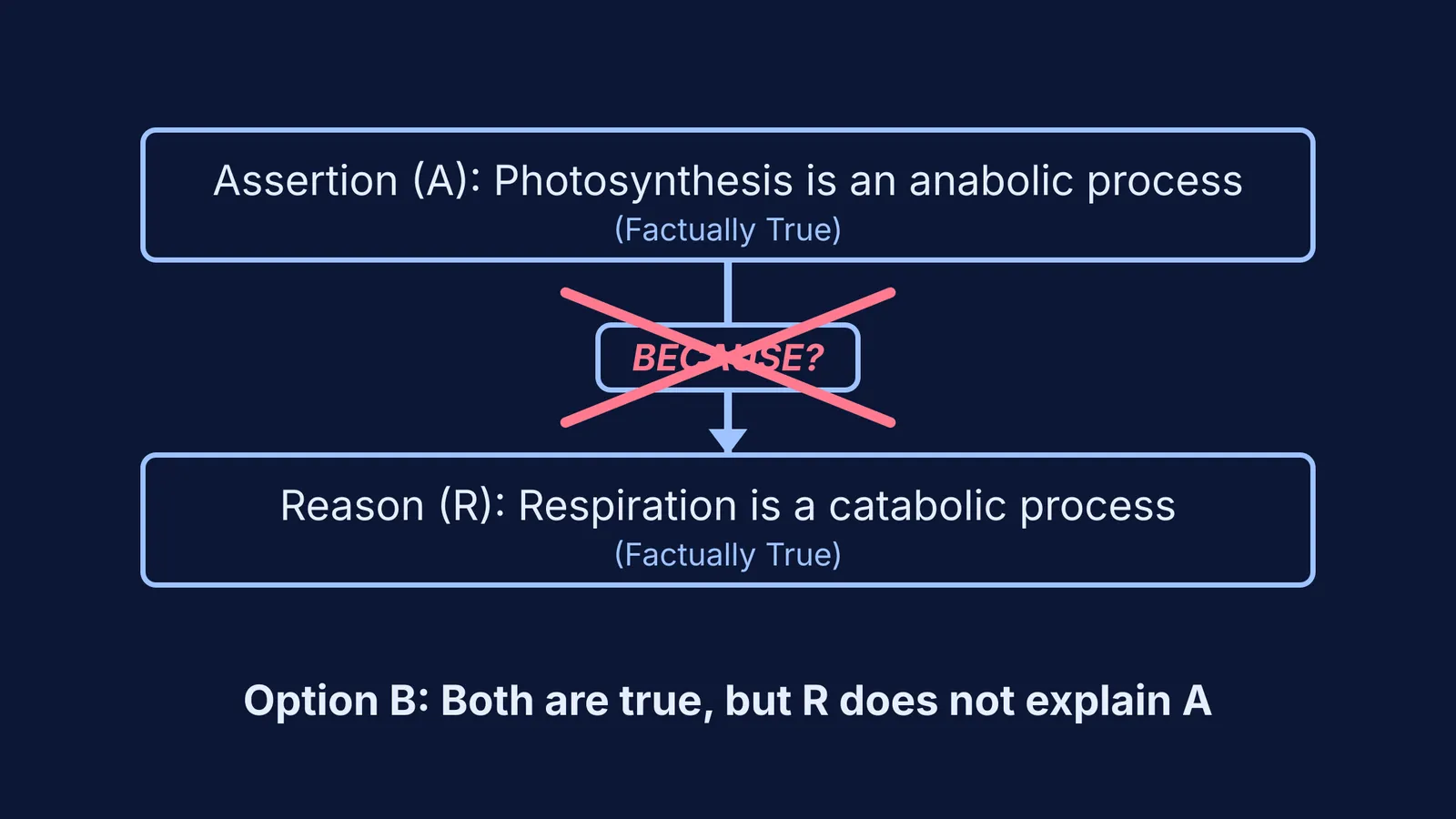 Flowchart applying the Because test to an assertion about photosynthesis and a reason about respiration.