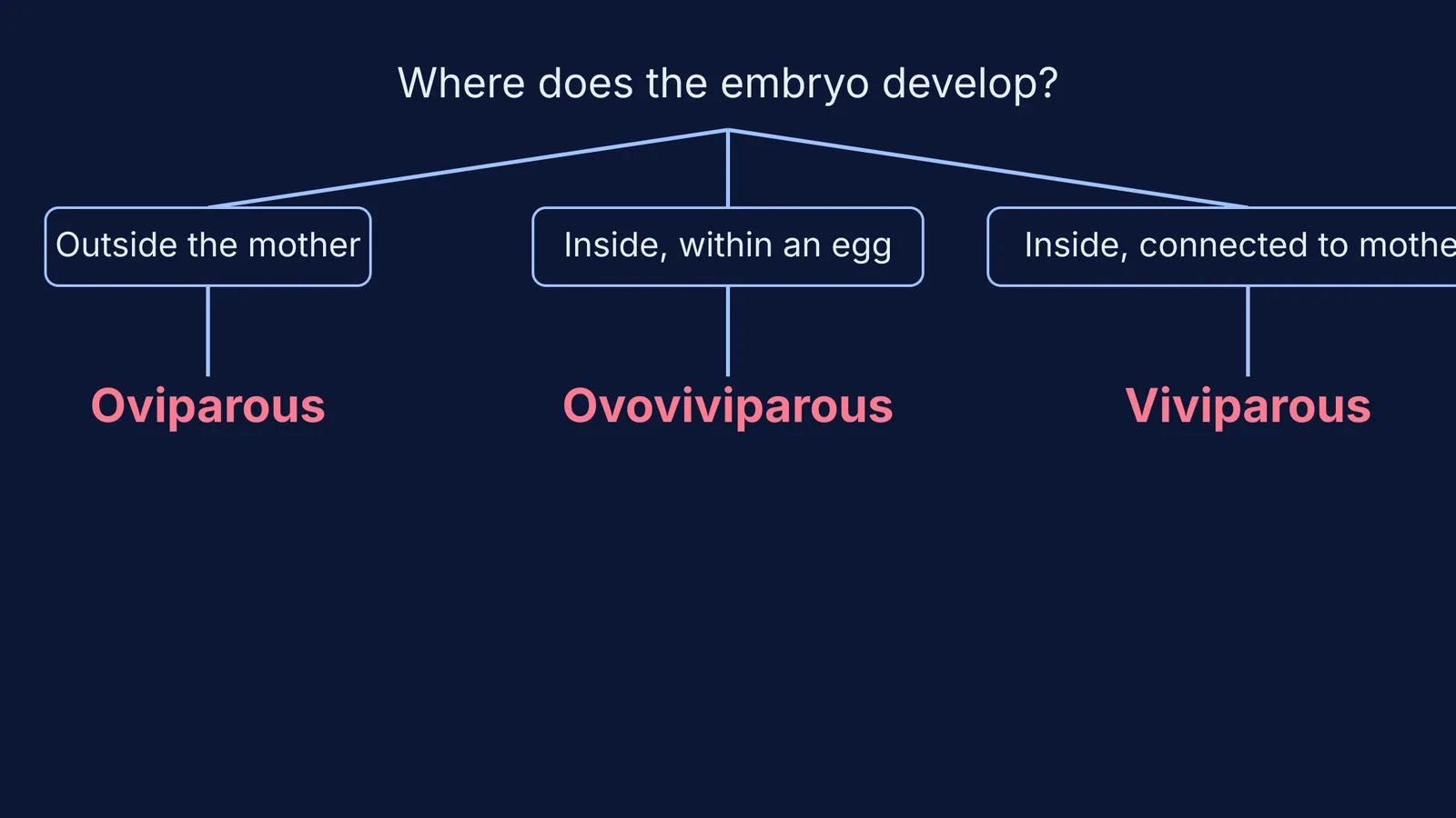 Flowchart comparing oviparous, ovoviviparous, and viviparous animal reproduction