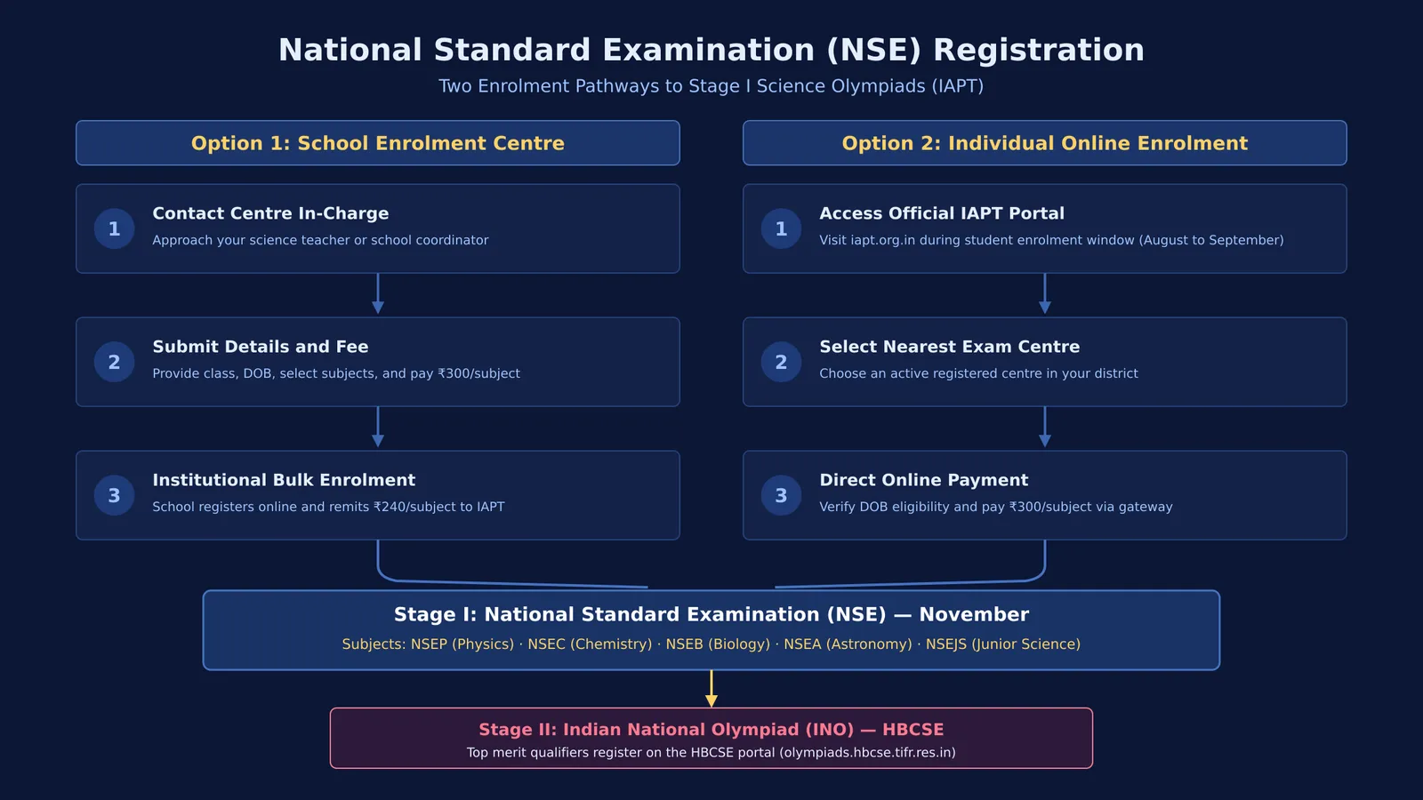 Flowchart of school centre and individual online registration pathways for the National Standard Examination.