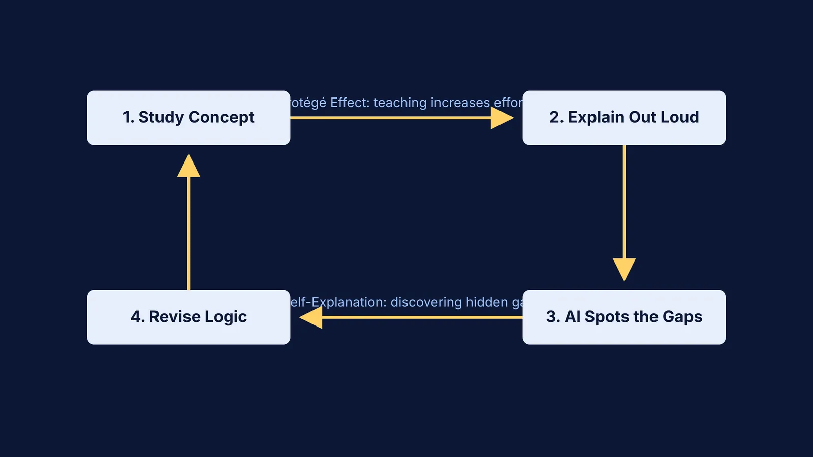 Flowchart of the active learning loop from explaining out loud to revising logic.