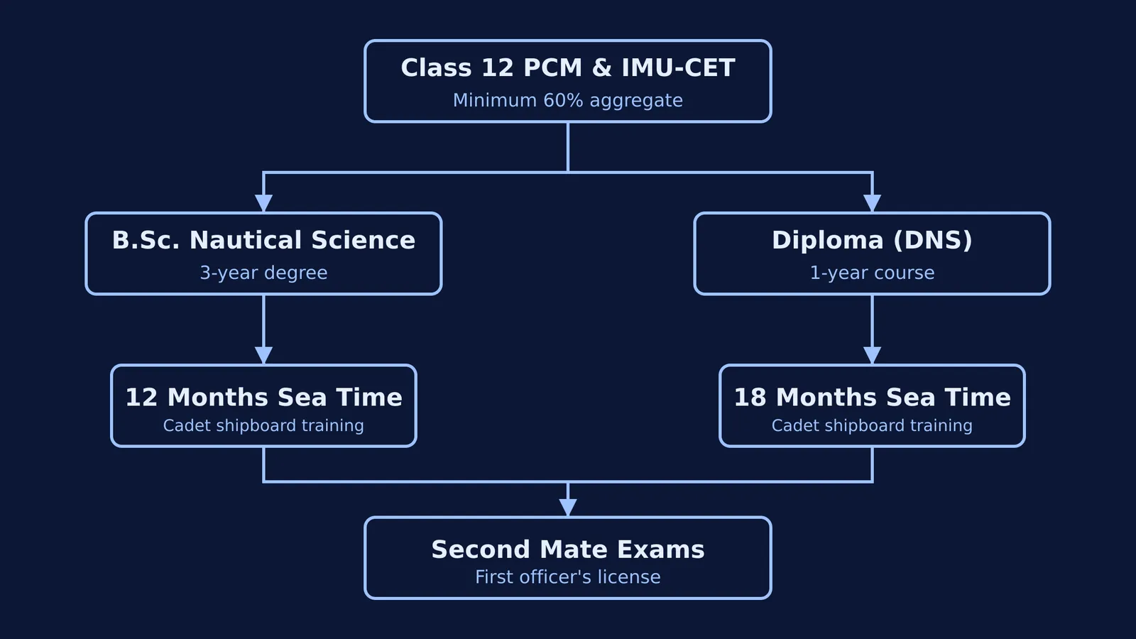 Flowchart of the B.Sc Nautical Science and DNS routes after Class 12.