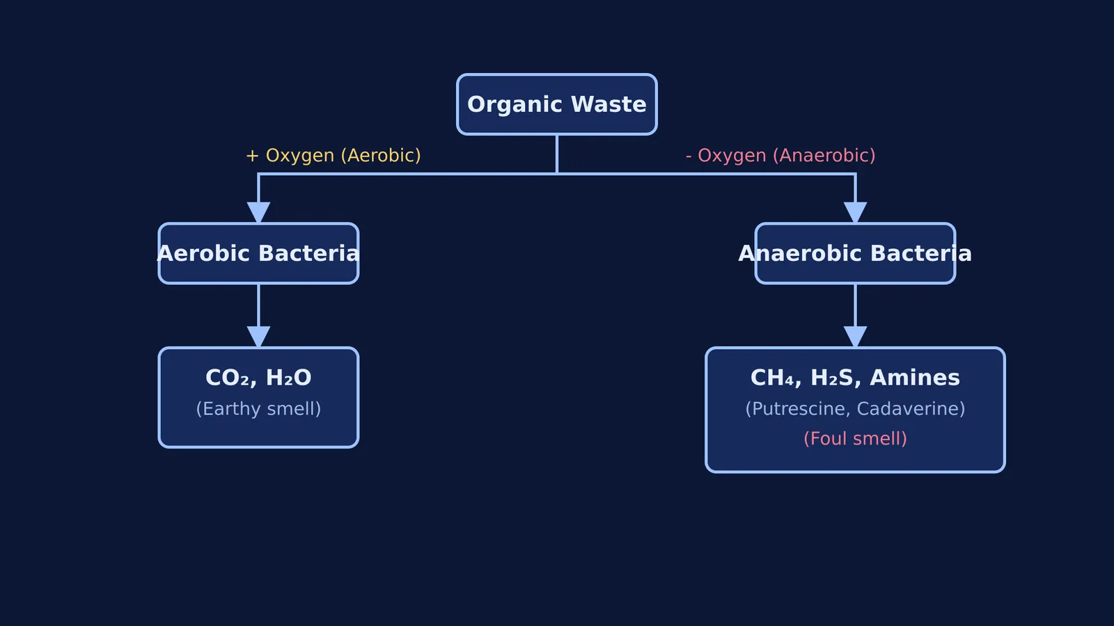 Flowchart showing aerobic versus anaerobic decomposition pathways