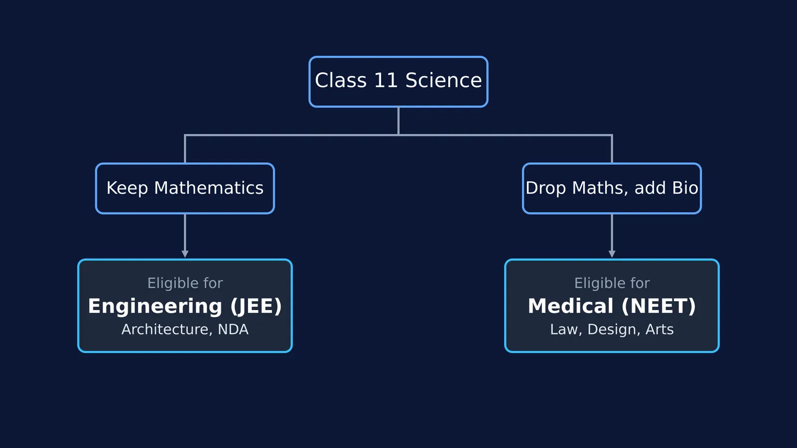 Flowchart showing career paths with and without mathematics in Class 11