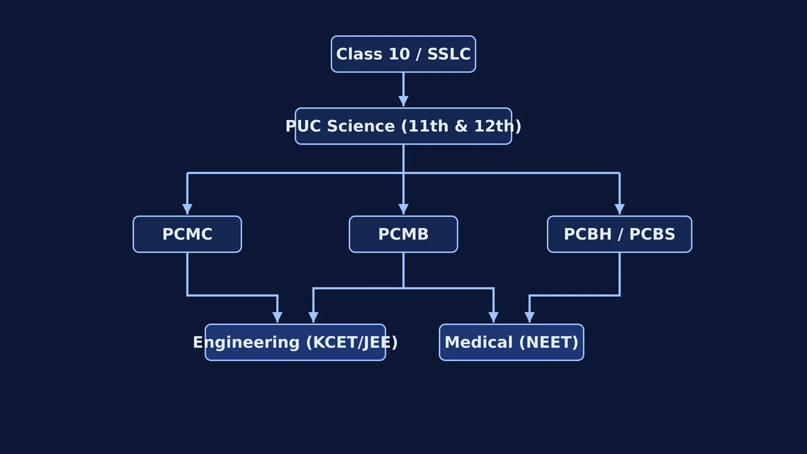Flowchart showing Class 10 branching to PUC Science subject combinations, which then link to medical and engineering exams.