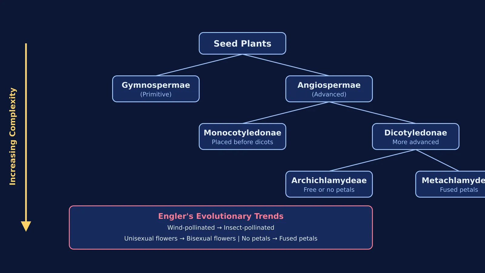 Flowchart showing Engler and Prantl's plant classification from primitive to advanced