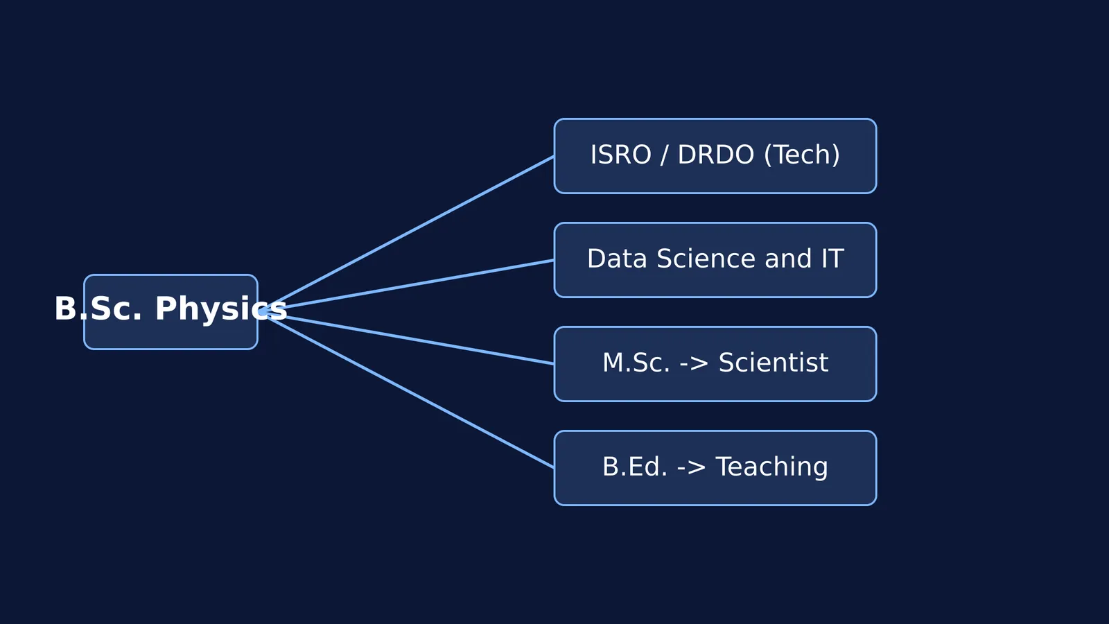 Flowchart showing four career paths after a B.Sc. in Physics