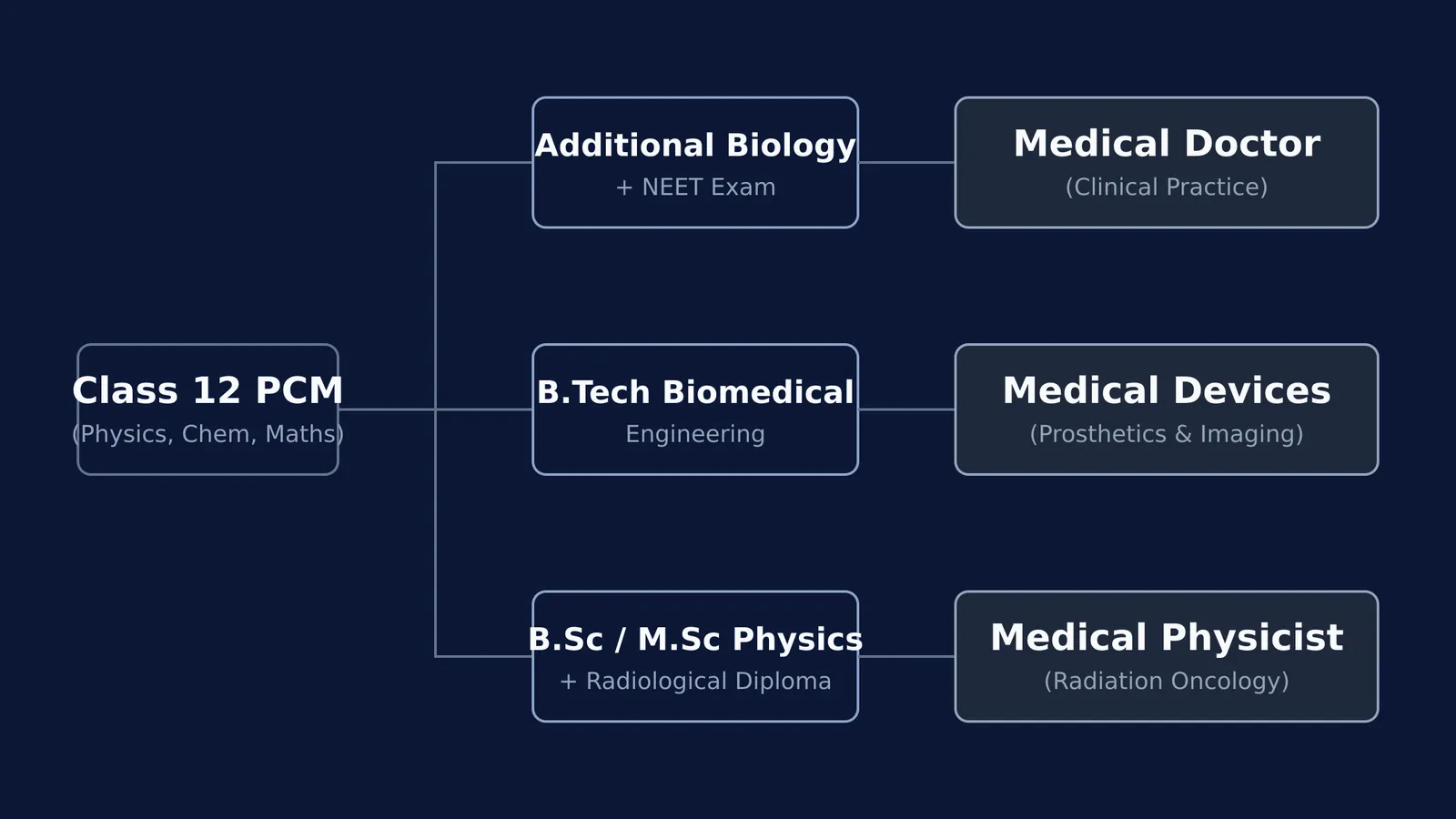 Flowchart showing medical career paths for Class 12 PCM students