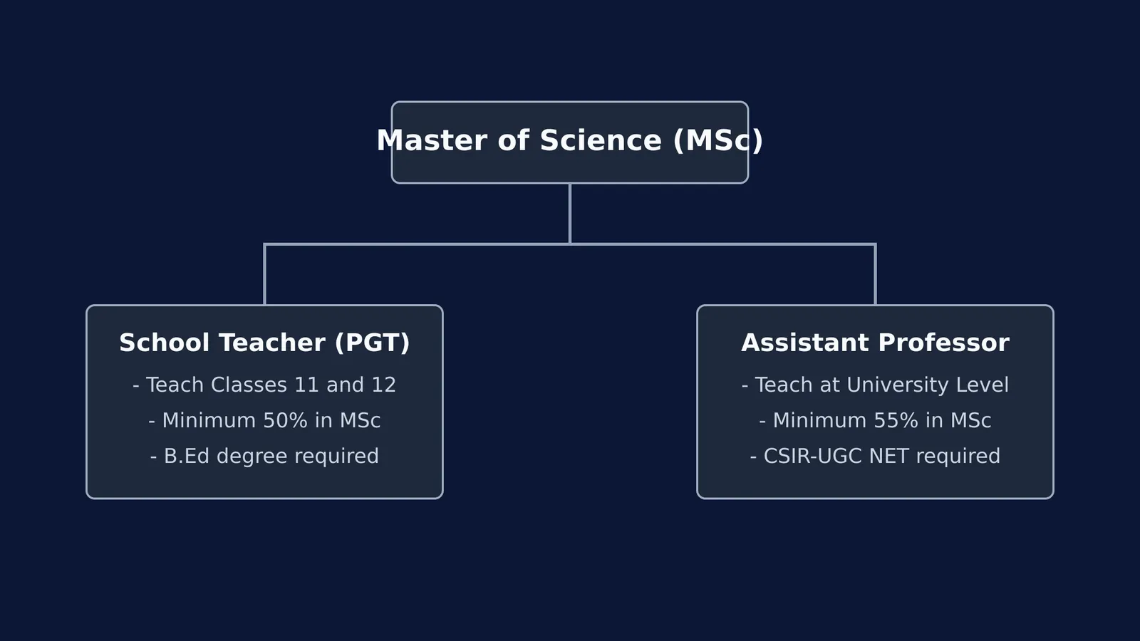Flowchart showing teaching career paths after MSc
