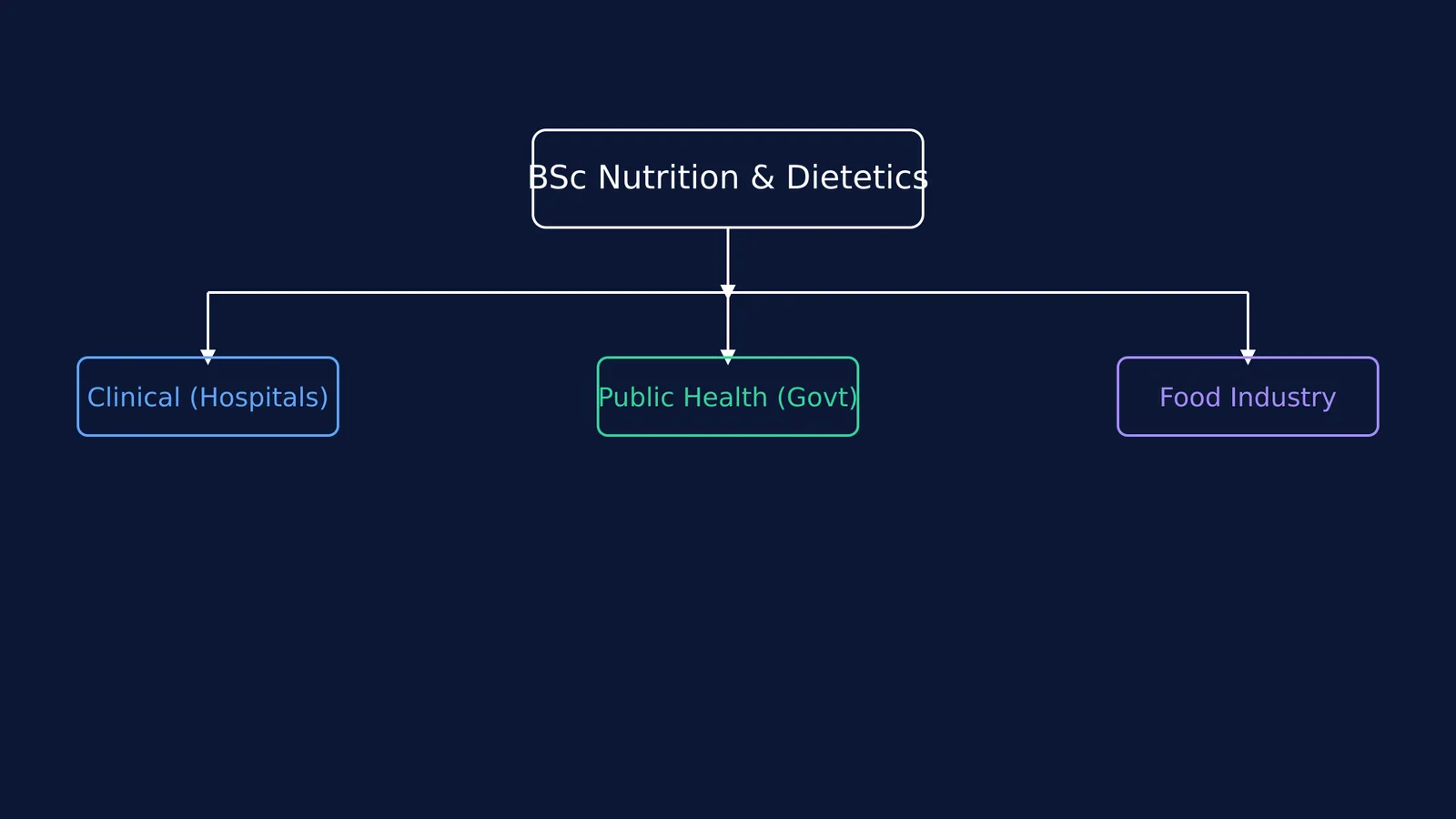 Flowchart showing three career paths from a BSc in Nutrition and Dietetics: Clinical, Public Health, and Food Industry.