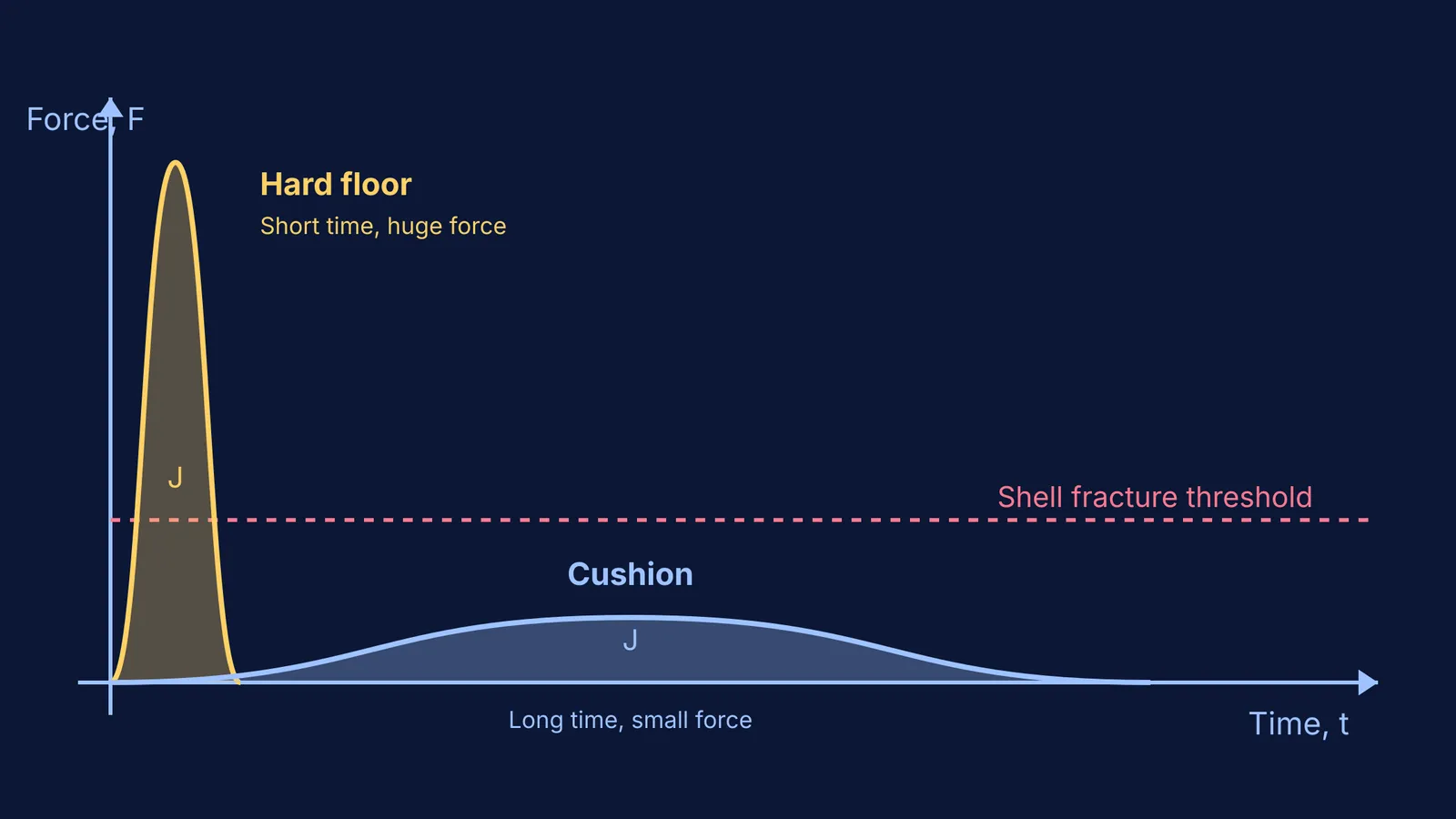 Force-time graphs comparing a hard floor impact to a cushion impact