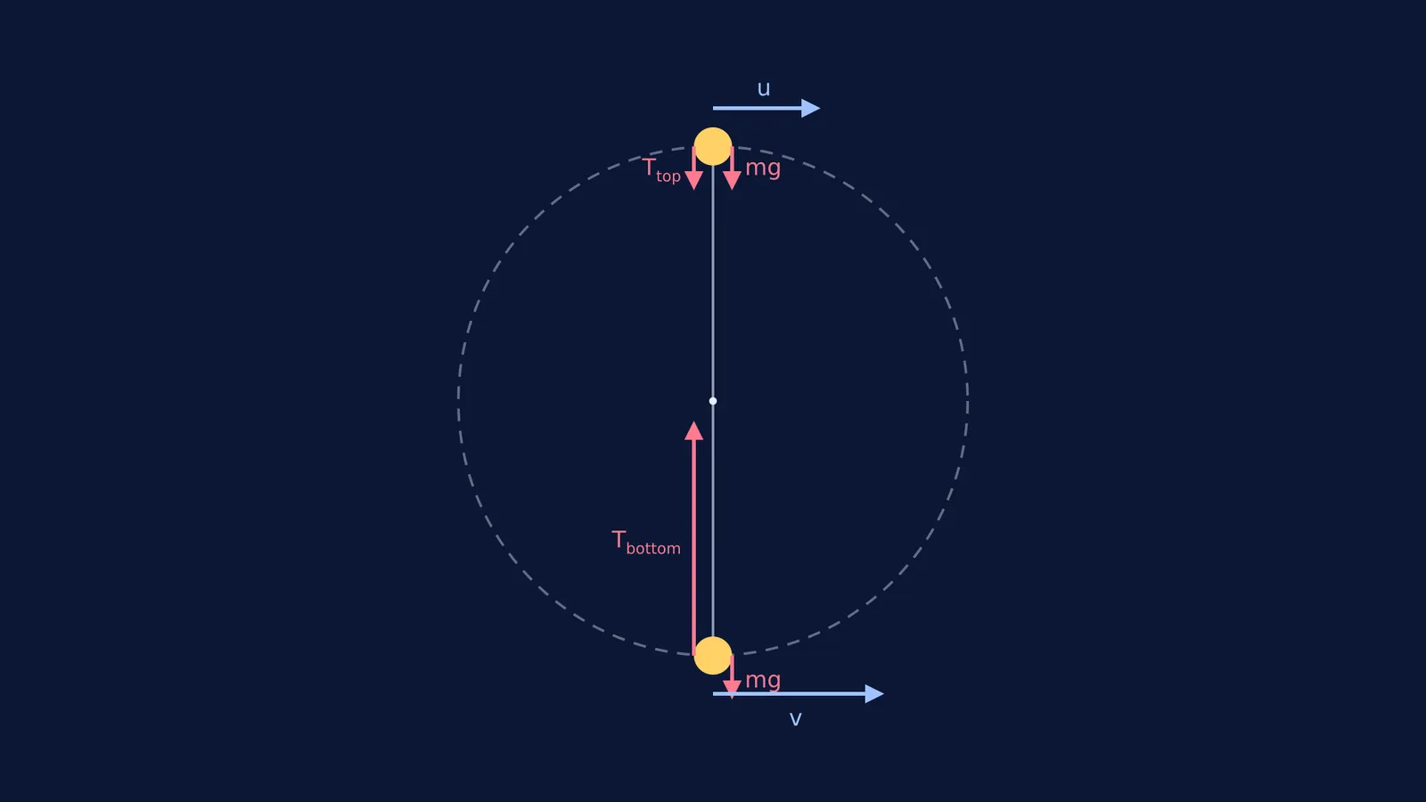 Forces and velocities at the top and bottom of a vertical circle