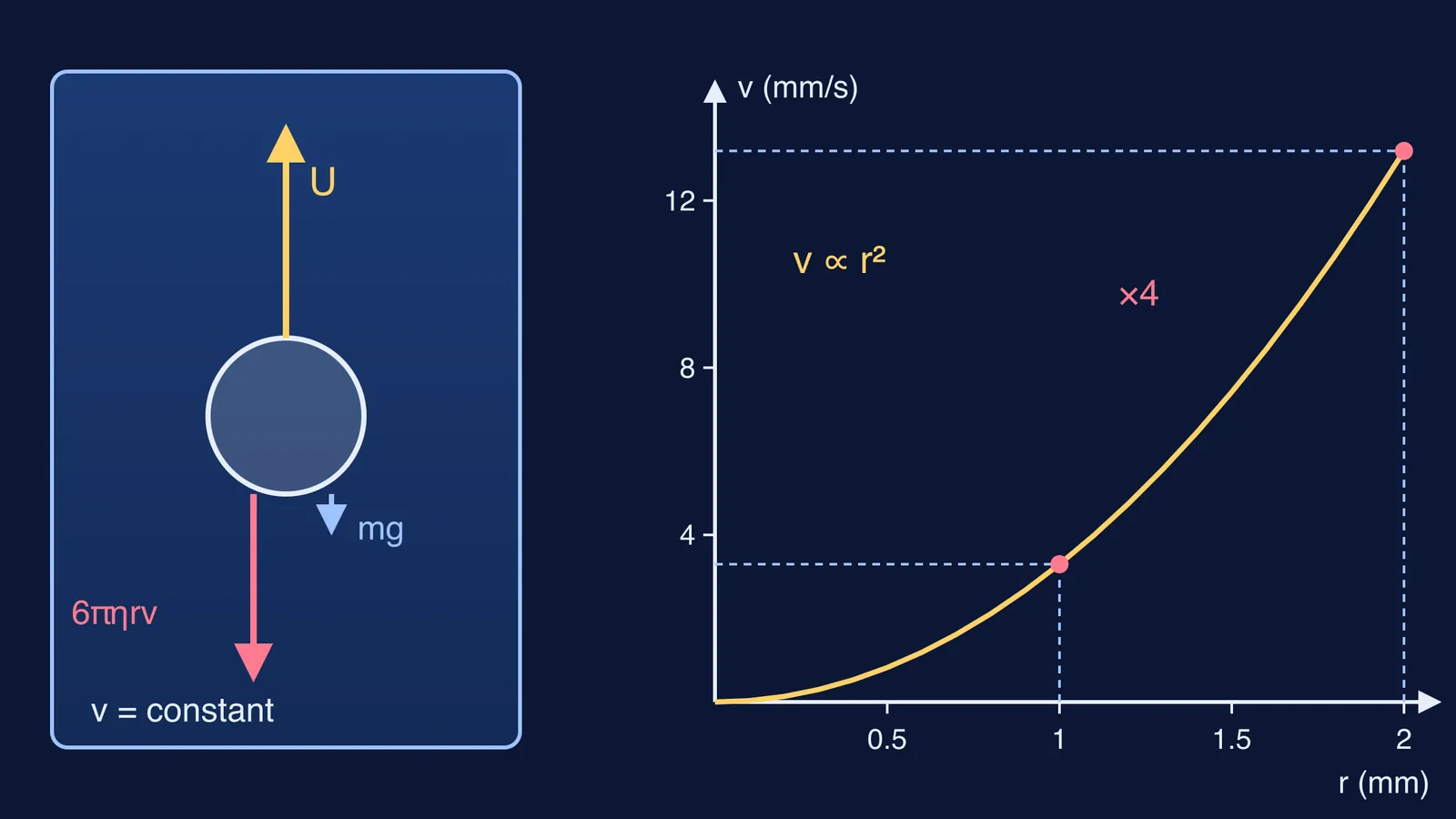 Forces on a rising air bubble and a curve of rise speed against radius