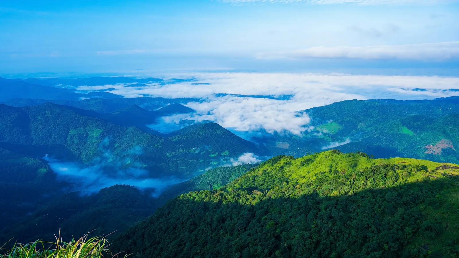 Forested Western Ghats hills above a sea of mist