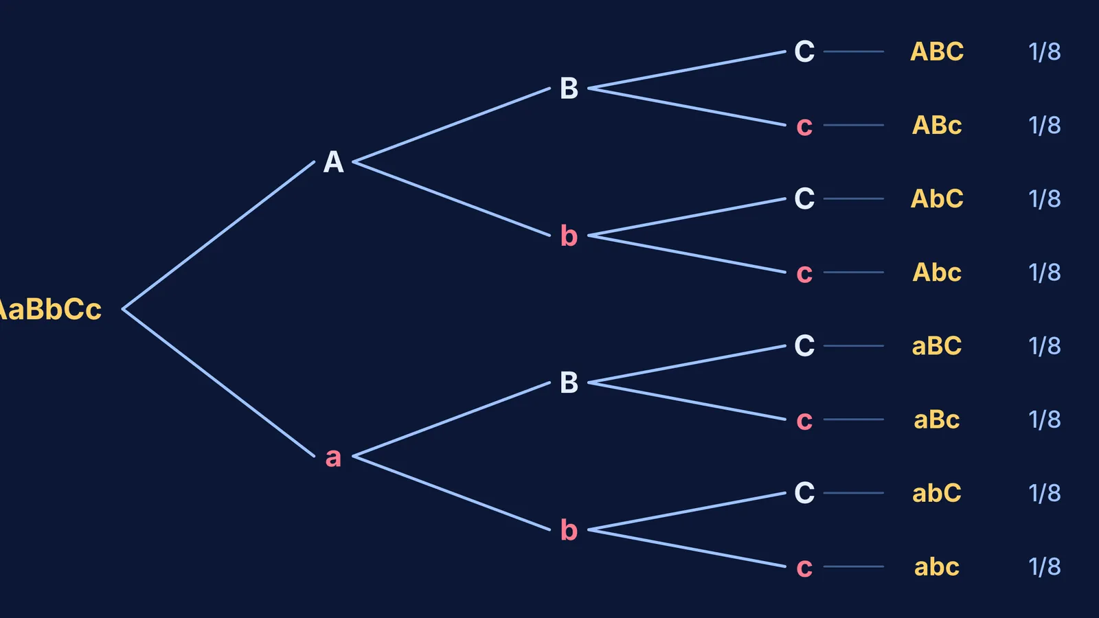 Forked-line diagram of AaBbCc splitting into eight gamete types, each 1/8