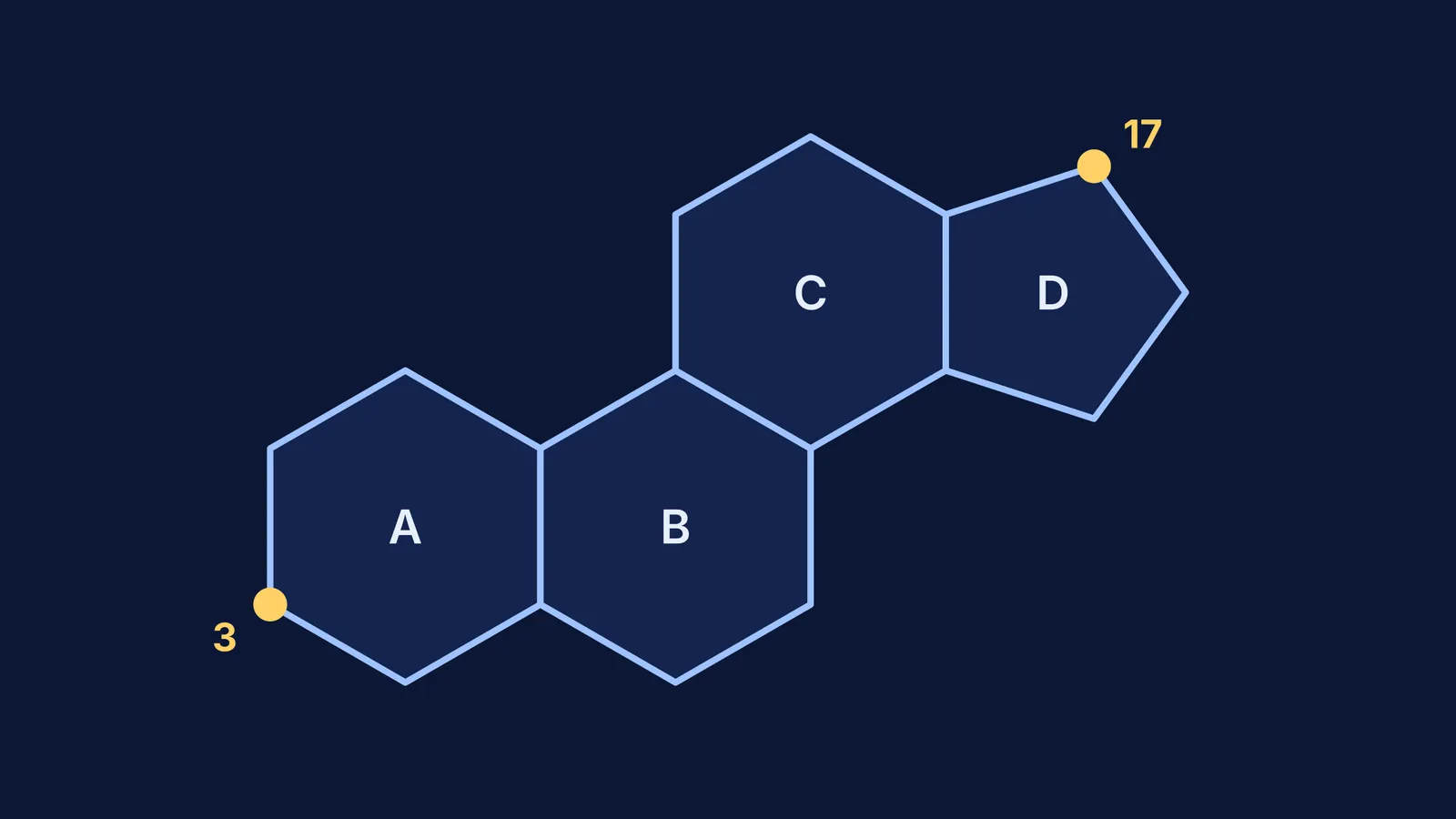 Four fused steroid rings A to D with carbons 3 and 17 highlighted