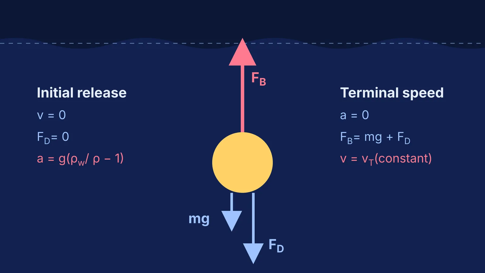Free-body diagram of a ball underwater showing buoyancy, gravity and drag forces.