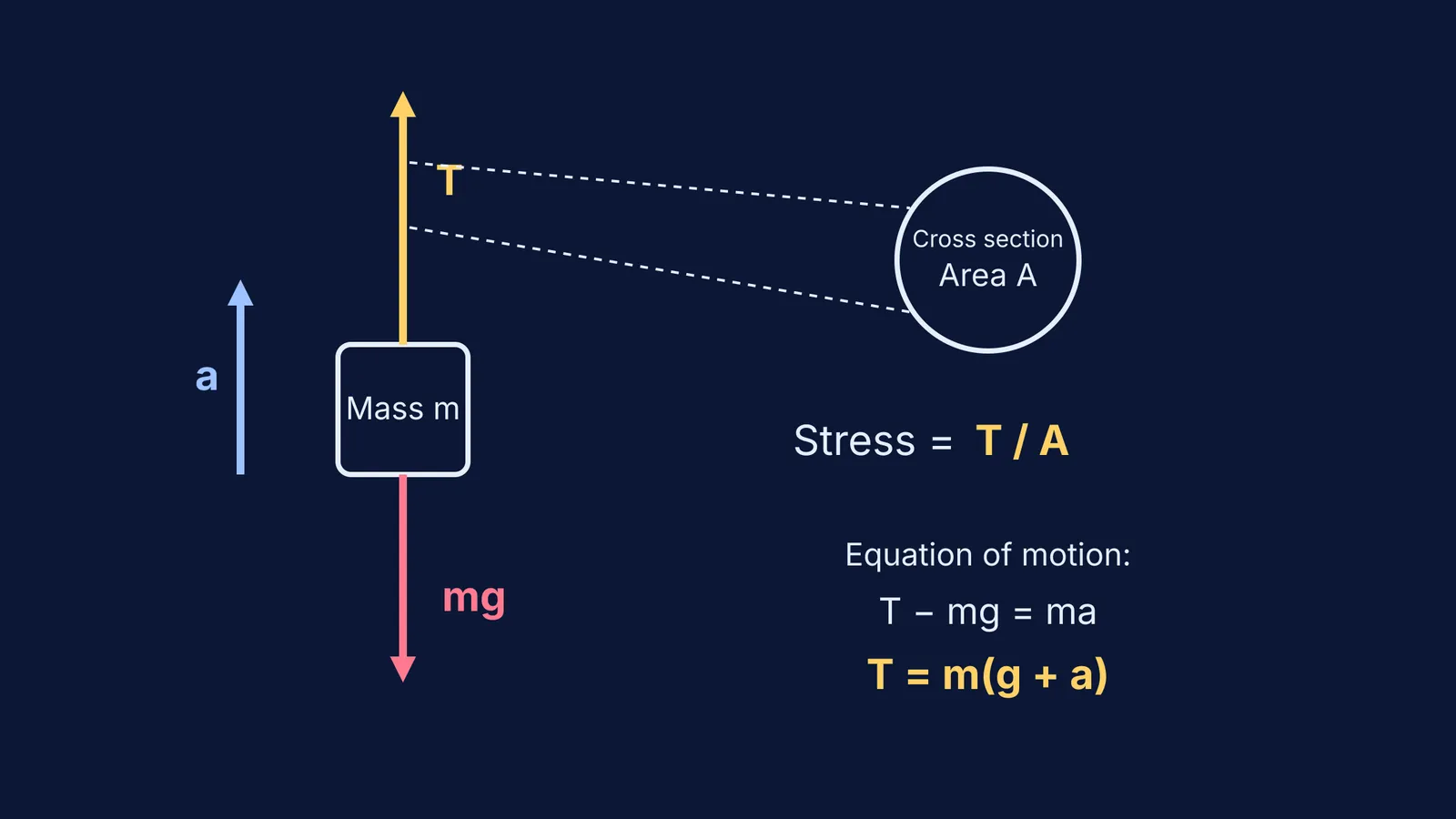 Free-body diagram of an accelerating load showing Tension T and weight mg.