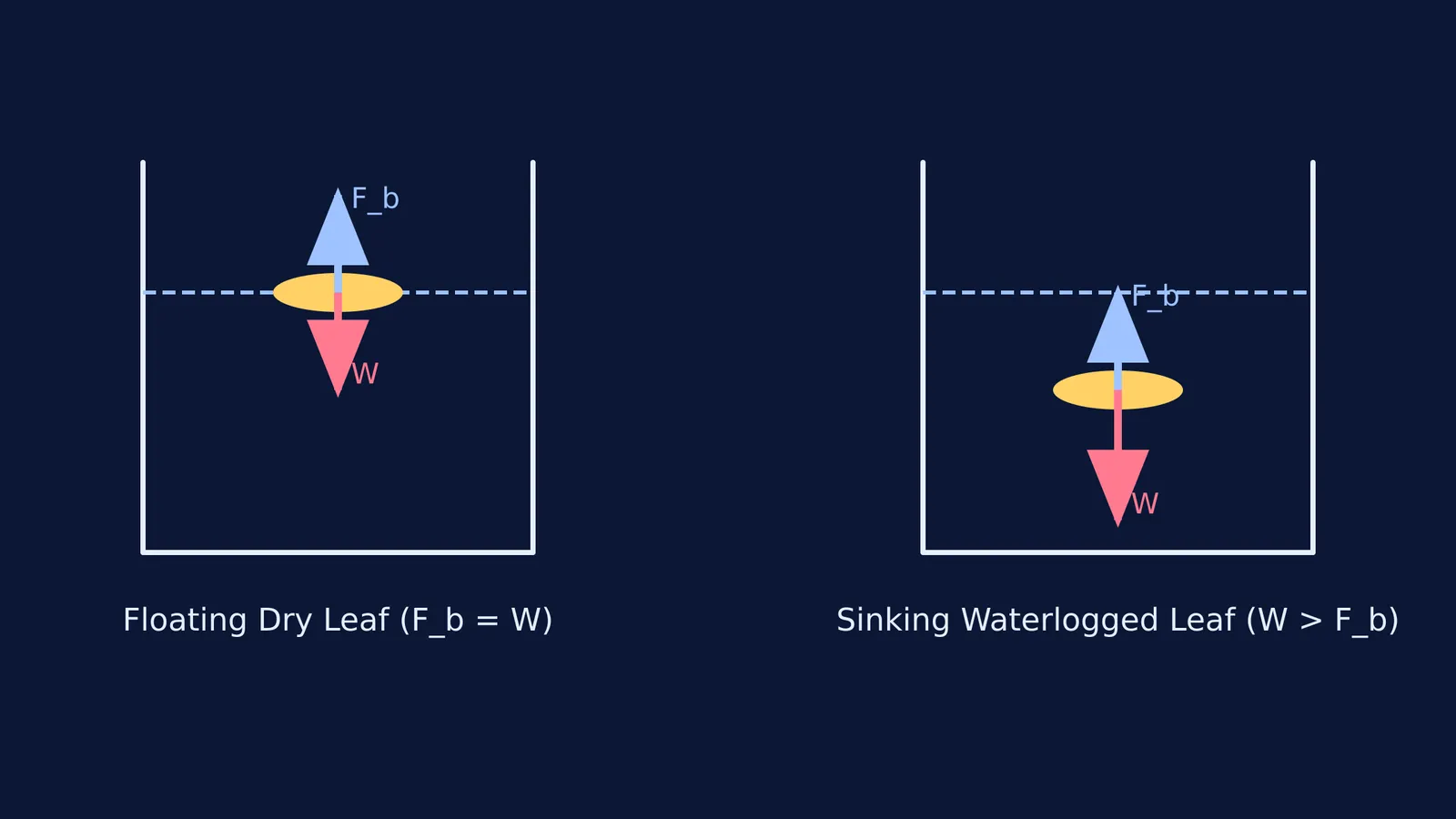 Free-body diagrams of a dry leaf floating and a wet leaf sinking