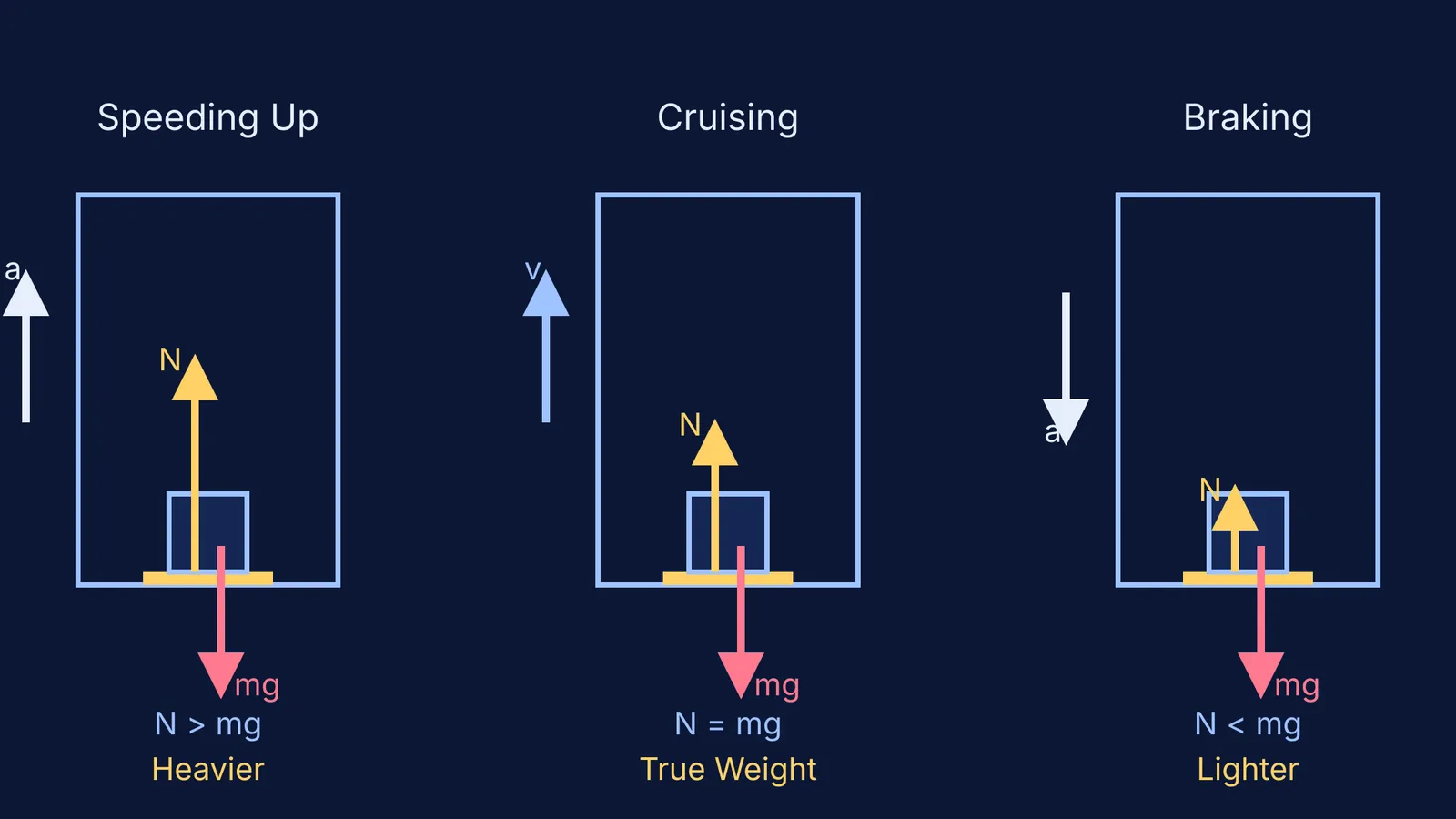 Free-body diagrams of a mass in an elevator speeding up, cruising, and braking