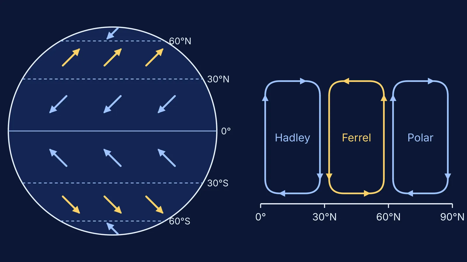 Globe with trade winds and westerlies beside Hadley, Ferrel and polar cells