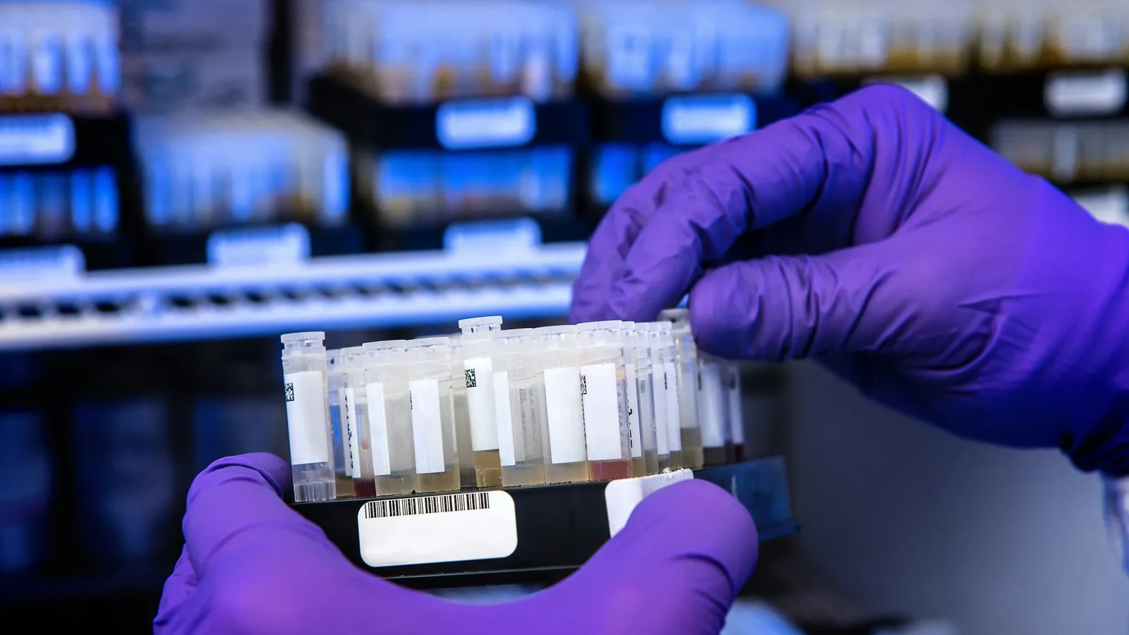 Gloved hands holding a strip of small sample tubes