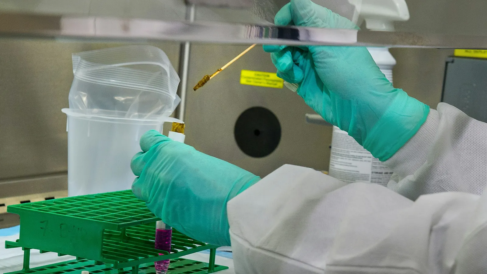 Gloved hands loading samples into a tube rack