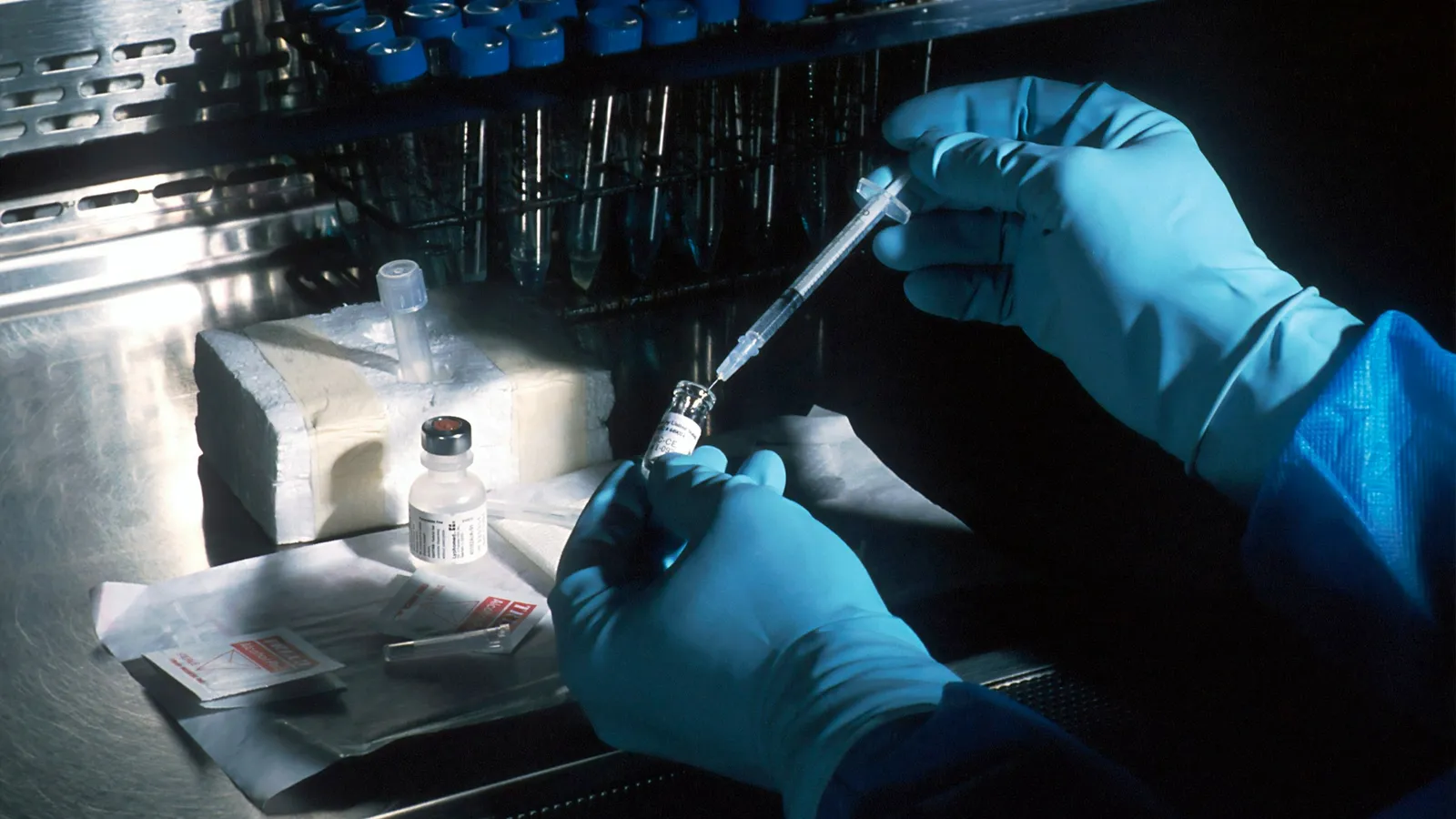 Gloved hands pipetting samples under a lamp