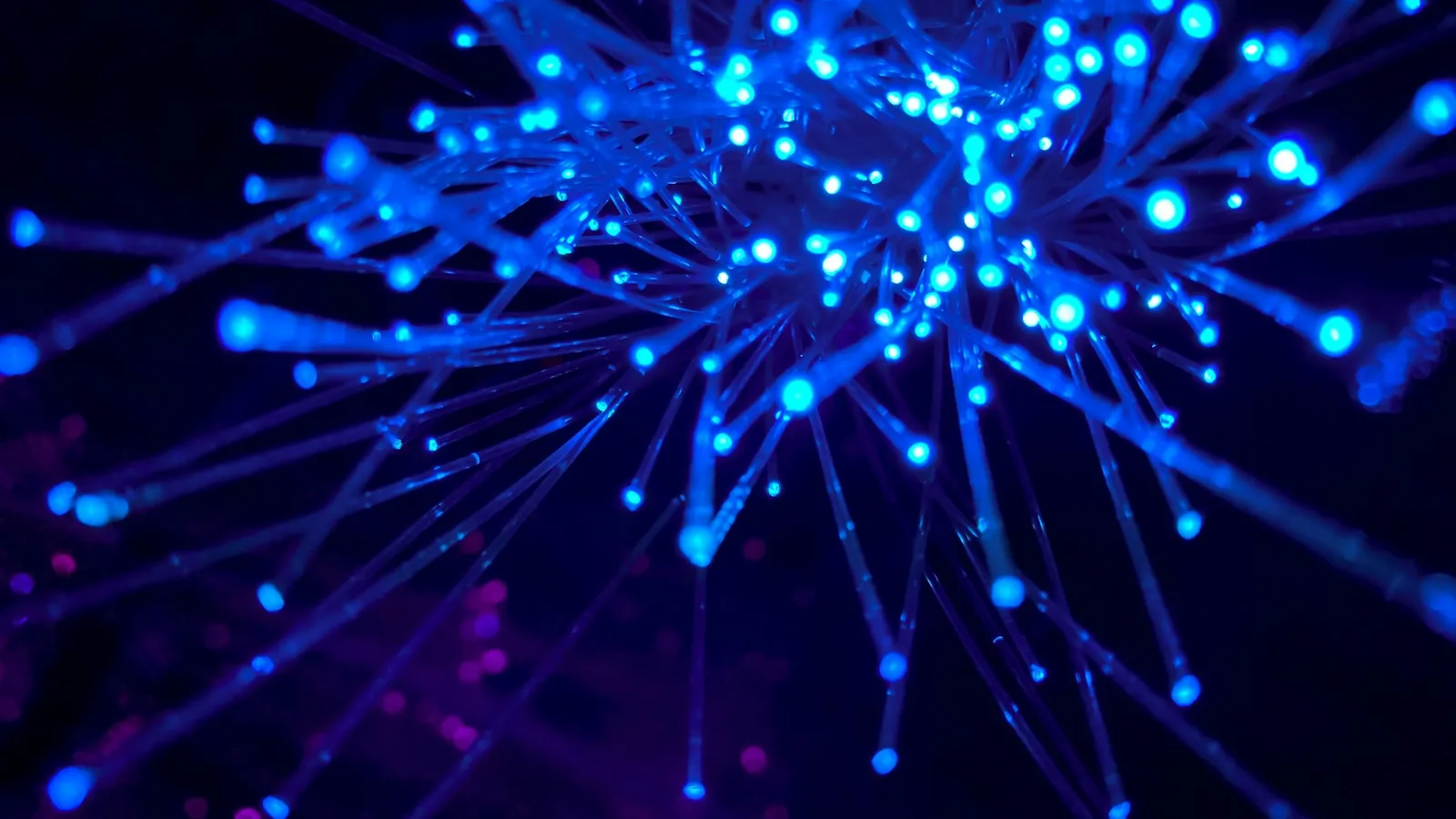 Glowing blue tips of a bundle of optical fibres