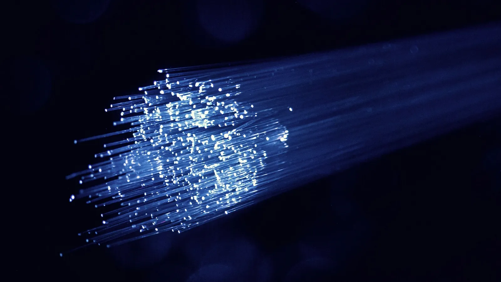 Glowing ends of fibre optic strands against a dark background