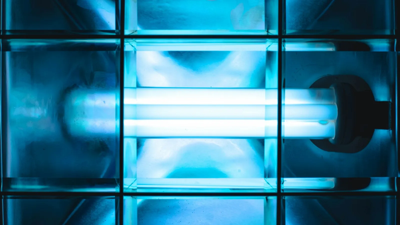Glowing ultraviolet tube lights