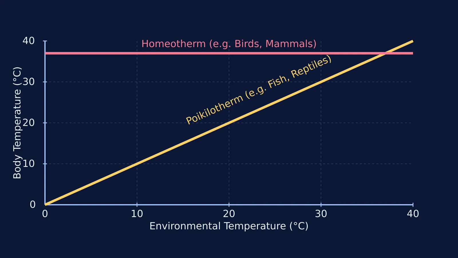 Graph comparing body temperatures of poikilotherms and homeotherms against environmental temperature