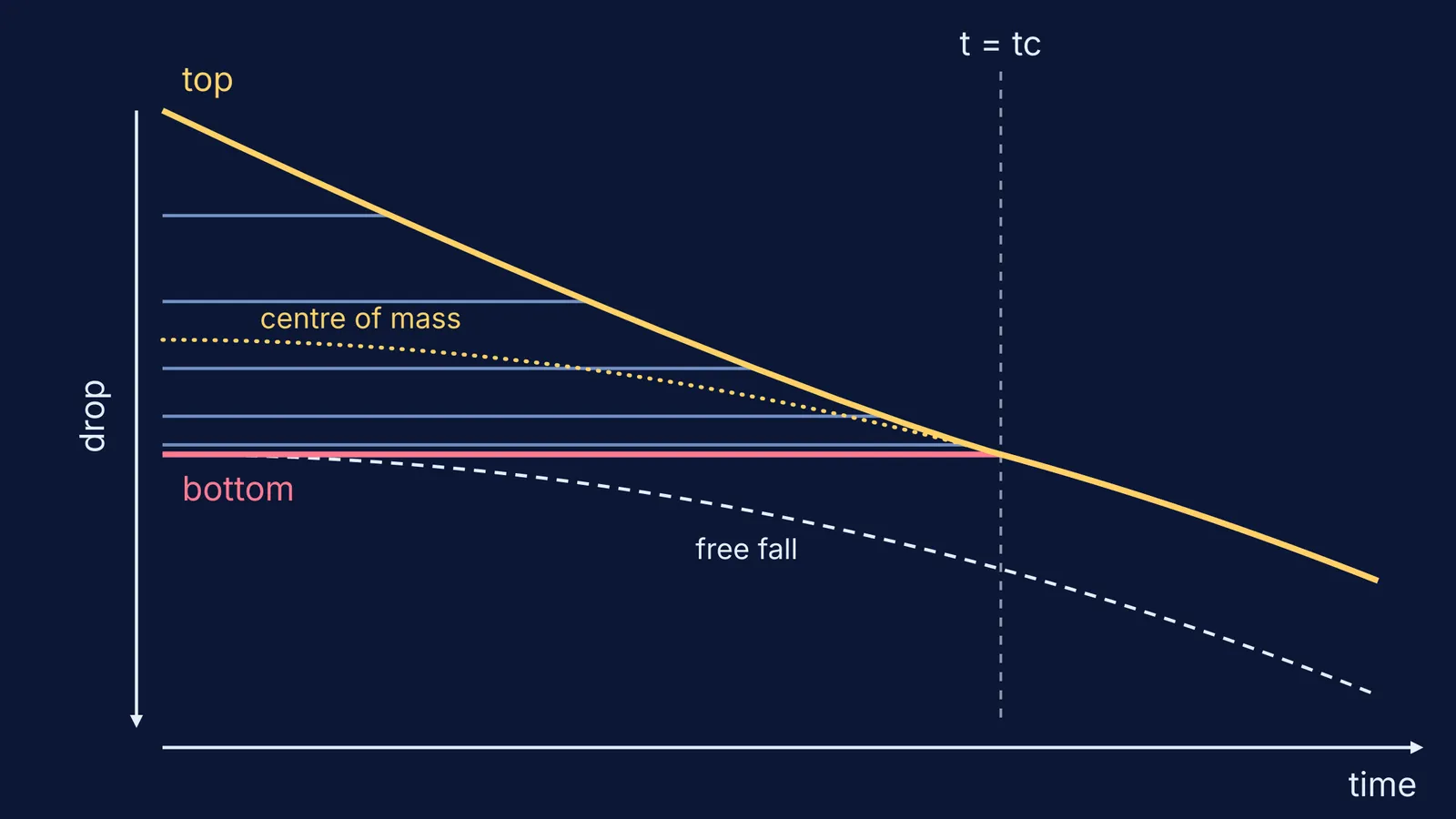 Graph of a dropped slinky: top falls, coils and bottom wait until collapse