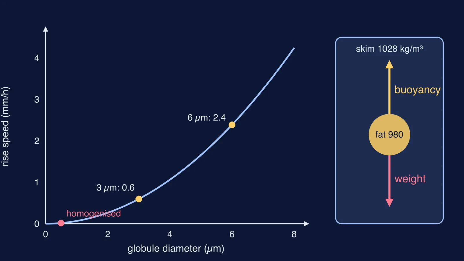 Graph of fat globule rise speed against diameter, beside a buoyancy diagram