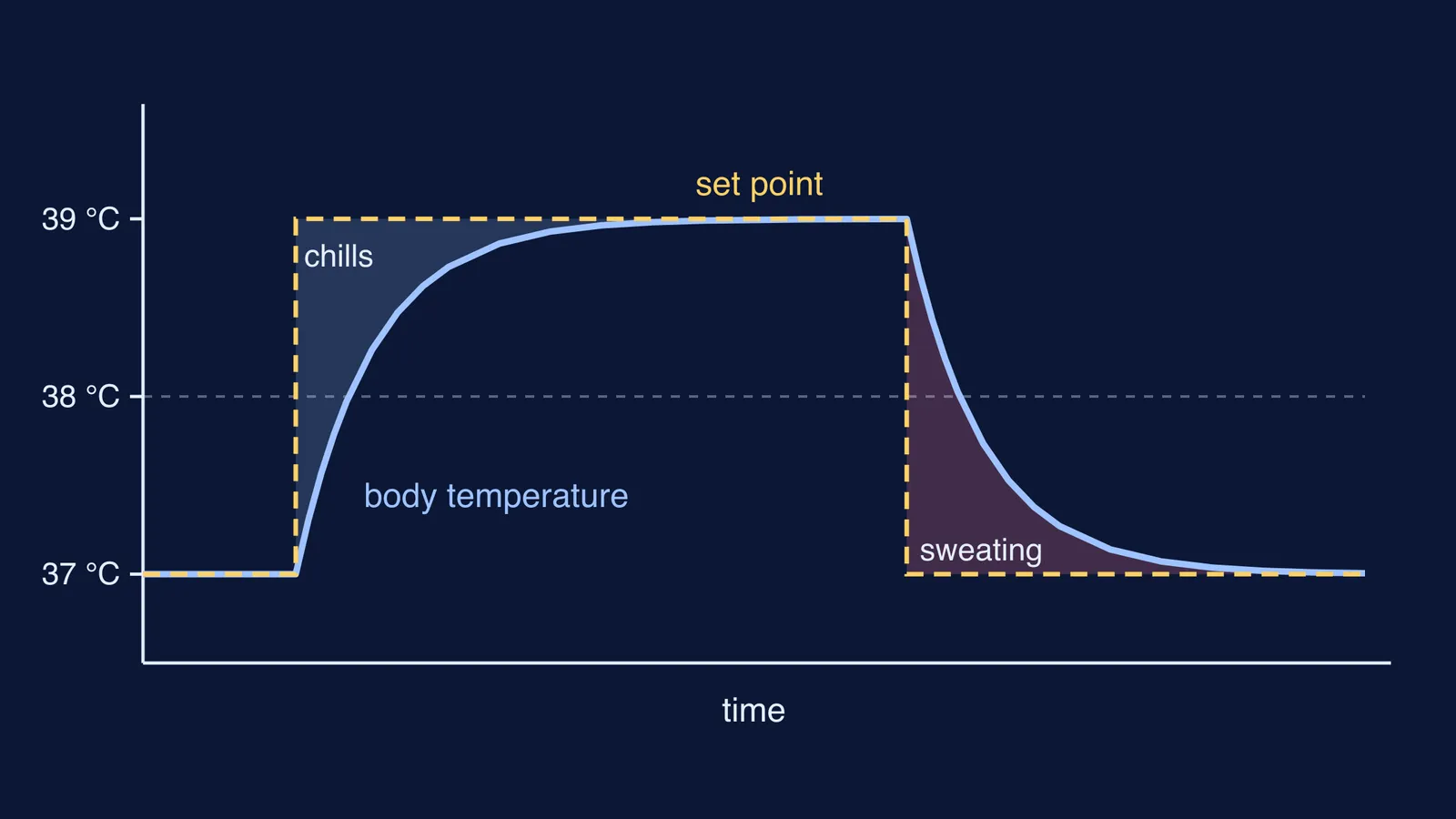 Graph of fever set point rising to 39 °C with body temperature lagging behind