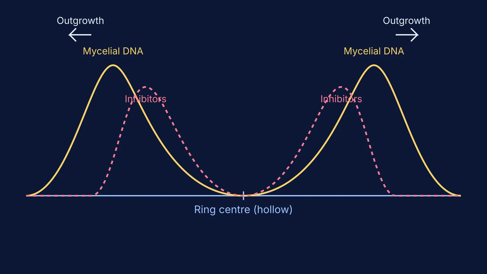 Graph of fungal DNA peaking at outer edges and dropping to zero in hollow center