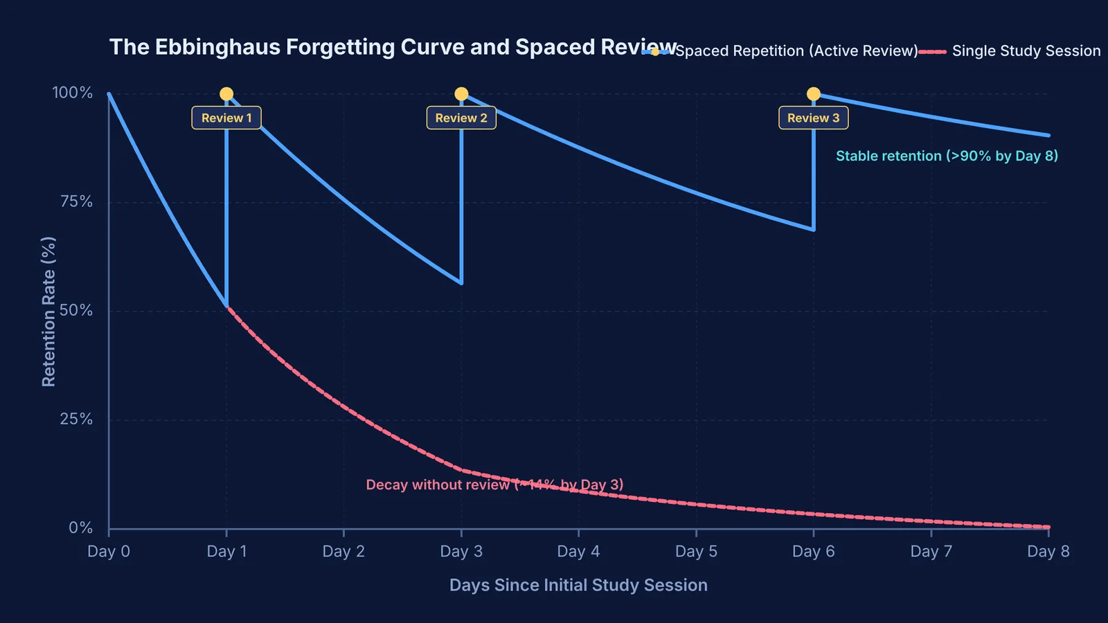 Graph of memory retention over time with spaced repetition versus without review.