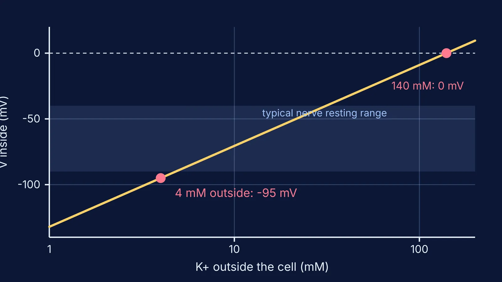 Graph of potassium equilibrium potential falling as outside potassium concentration decreases