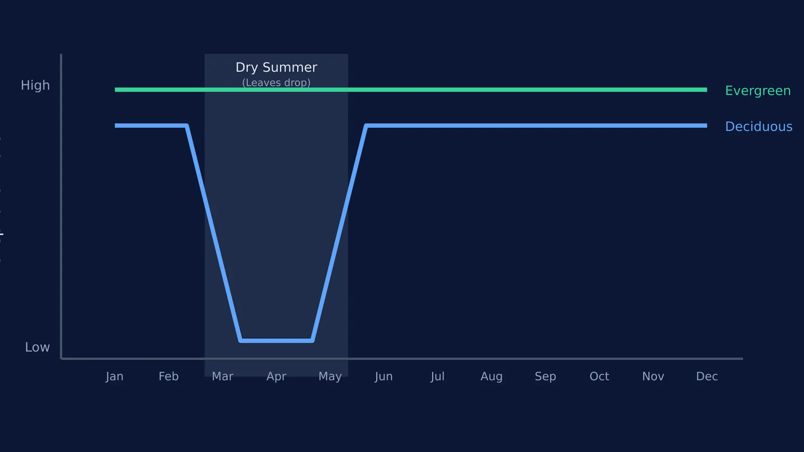 Graph of transpiration rates for deciduous and evergreen forests over 12 months