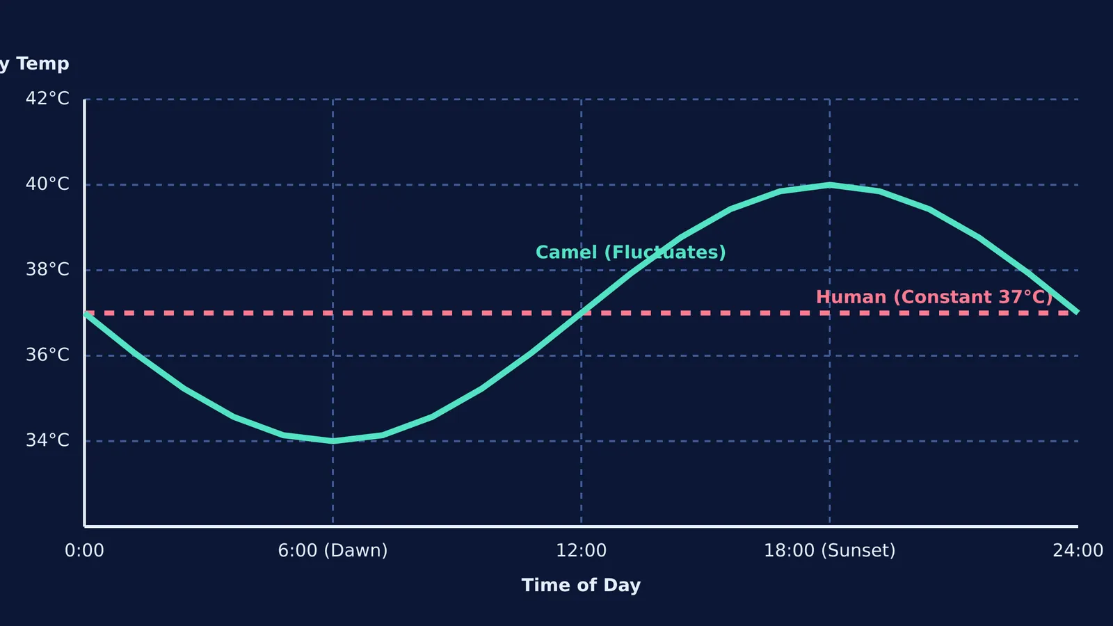 Graph showing a camel's body temperature fluctuating from 34°C to 40°C compared to humans.