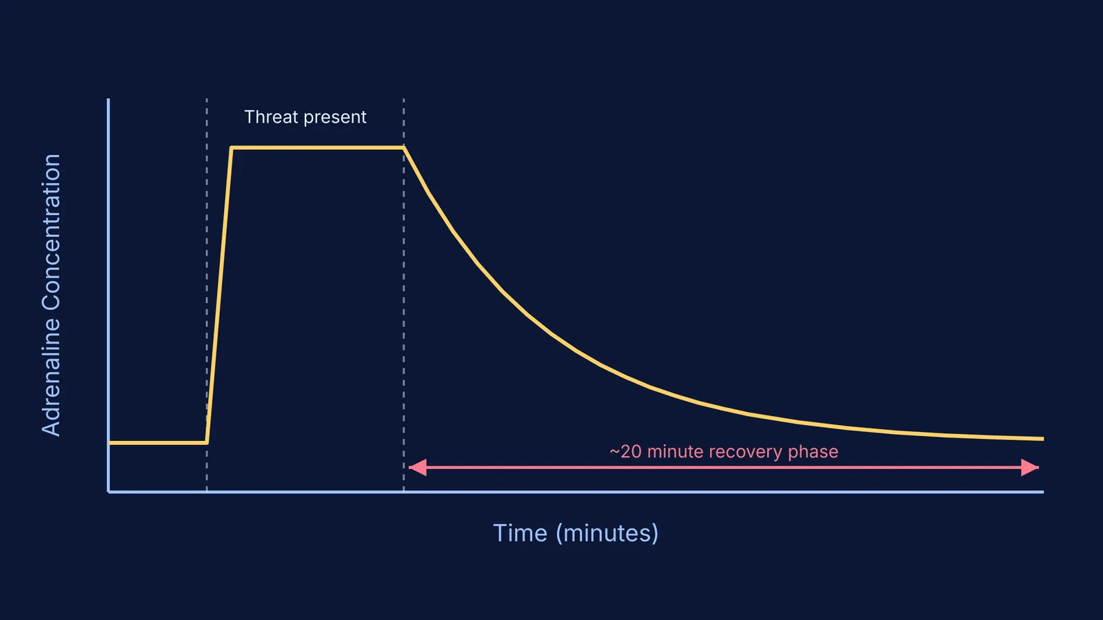 Graph showing a rapid spike in adrenaline followed by a 20-minute decay phase.