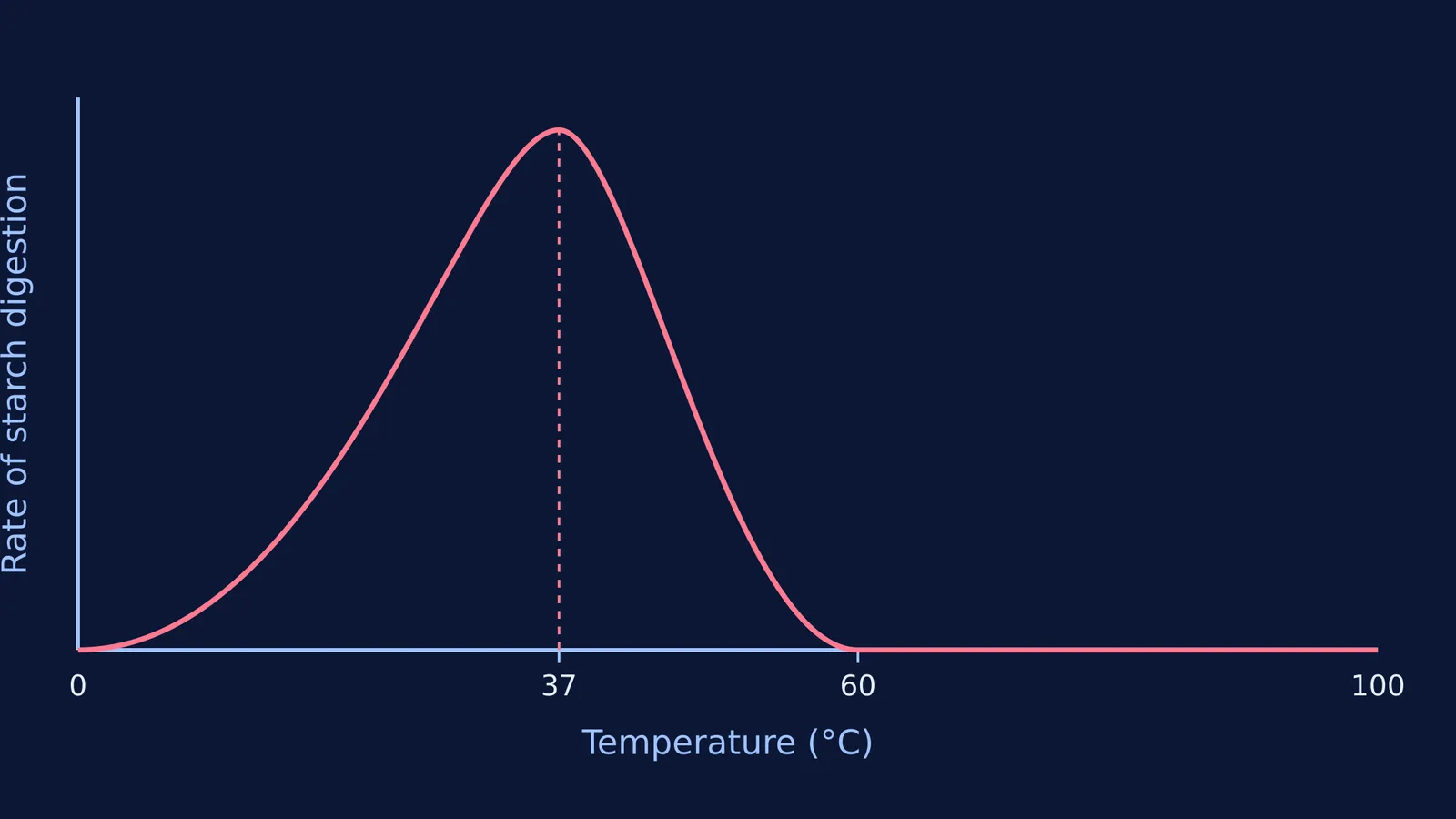 Graph showing amylase starch digestion rate peaking at 37°C and stopping at 60°C.