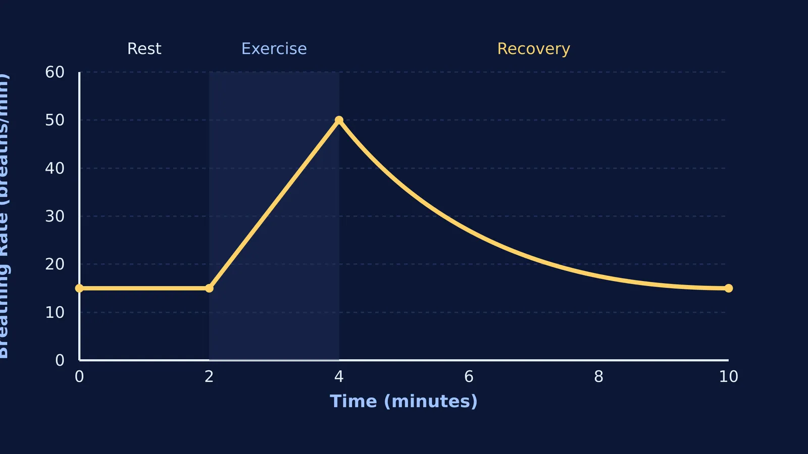 Graph showing breathing rate spiking during exercise and dropping in recovery